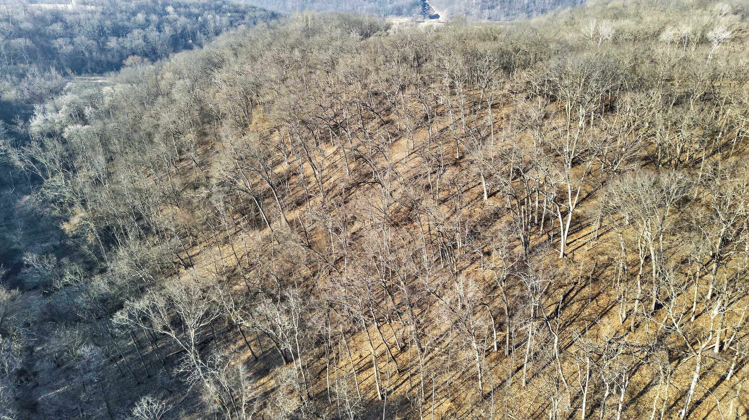 271.18 acres Zwettler/Foster Road