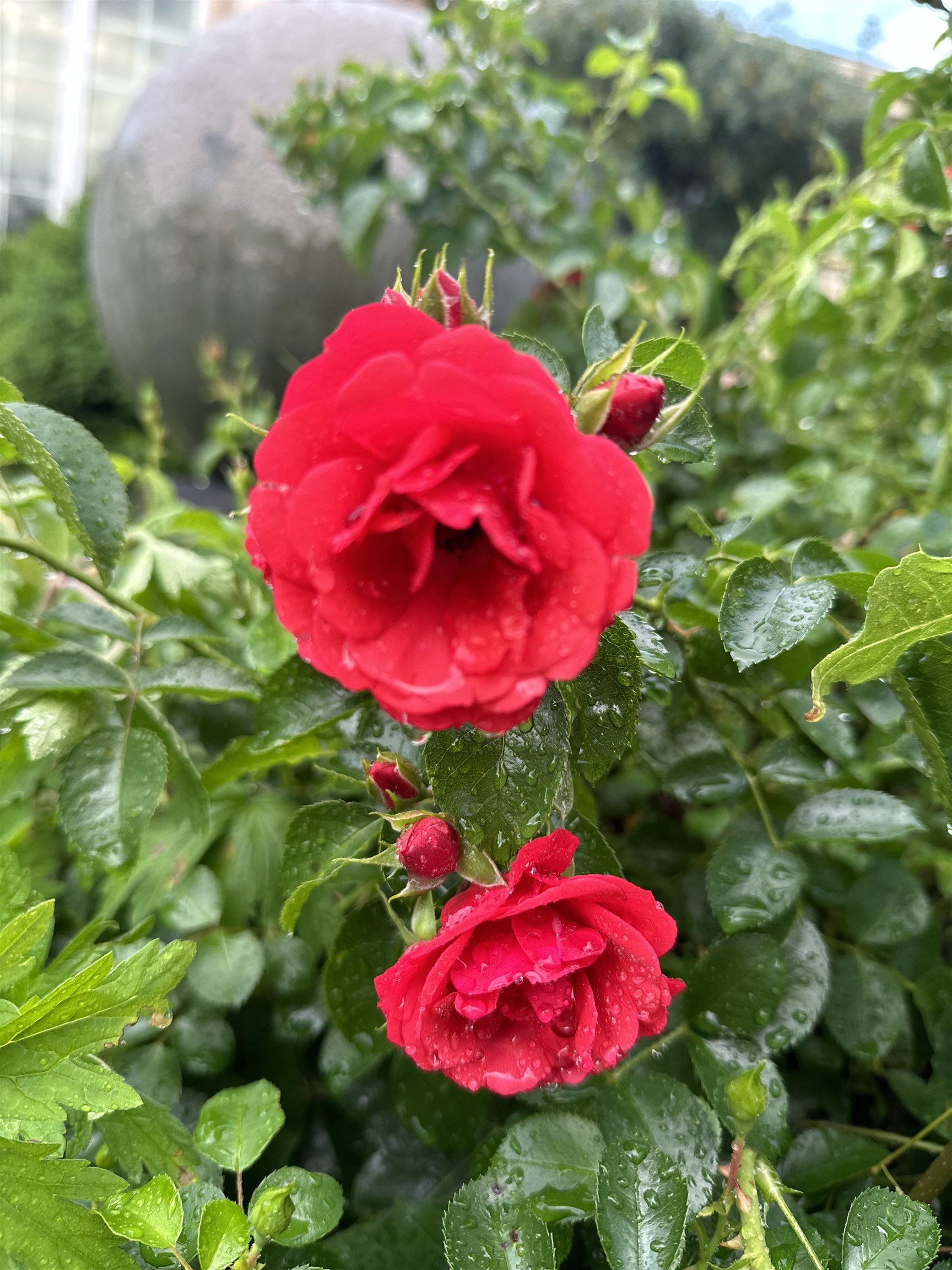 609 S Meadowbrook Lane