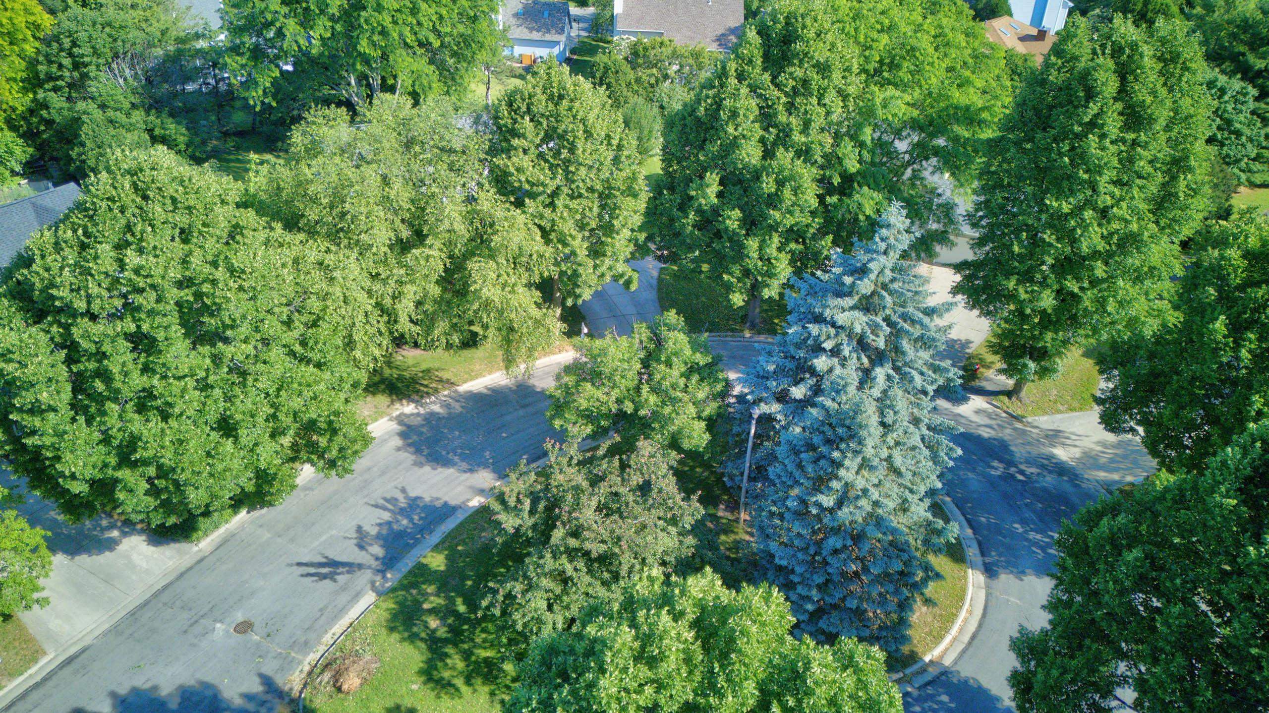 8 Darien Circle