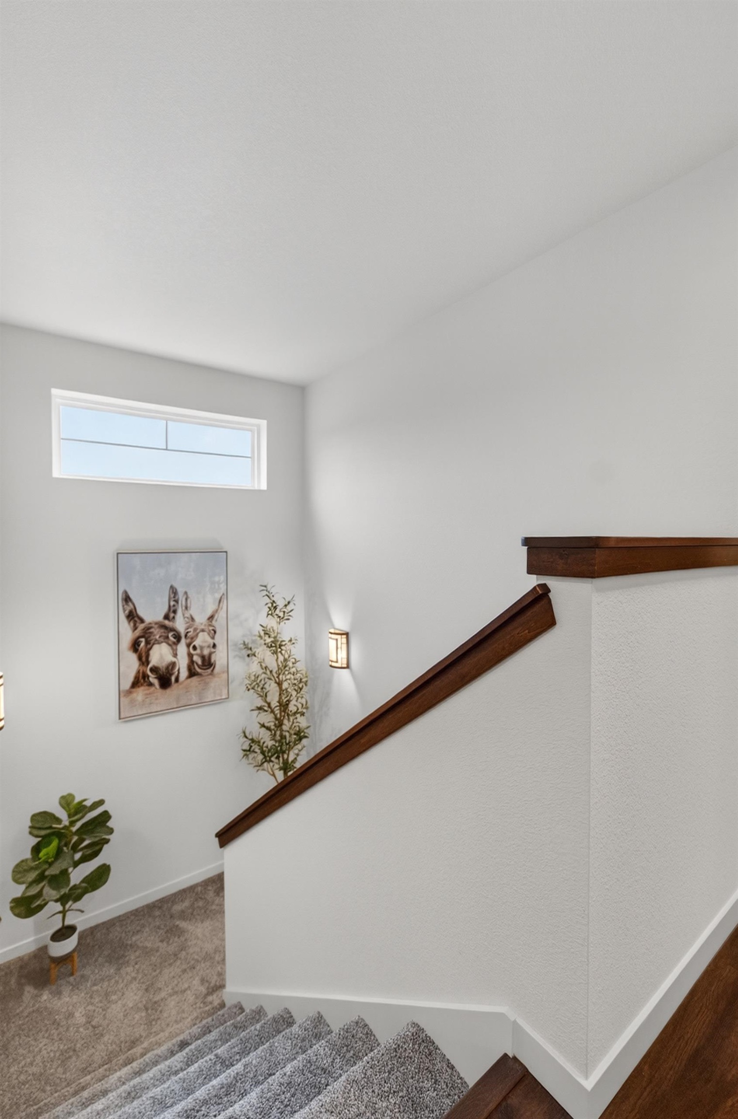 2778 Frisee Drive