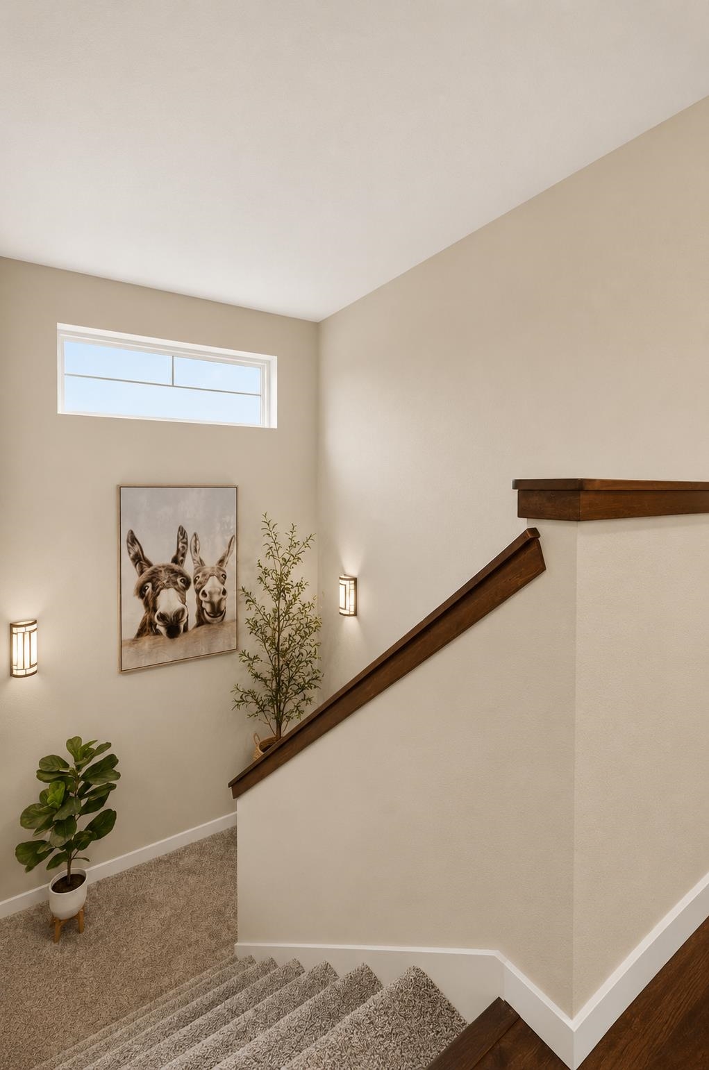2778 Frisee Drive