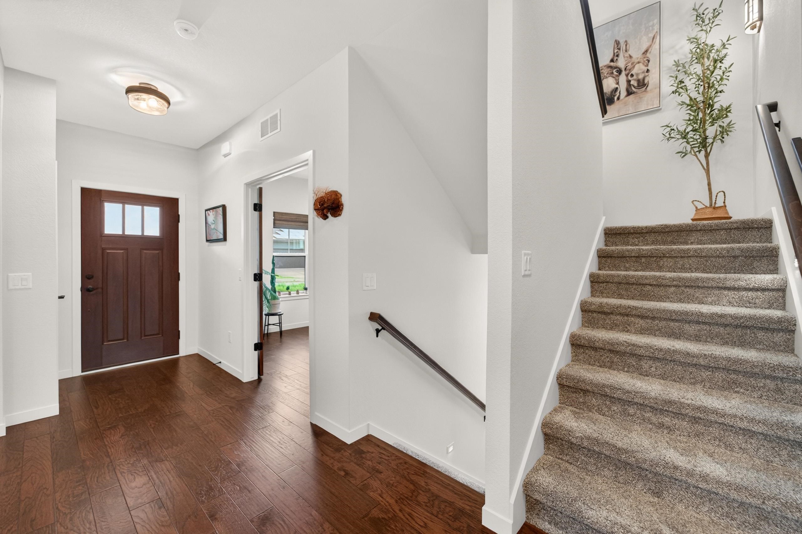 2778 Frisee Drive