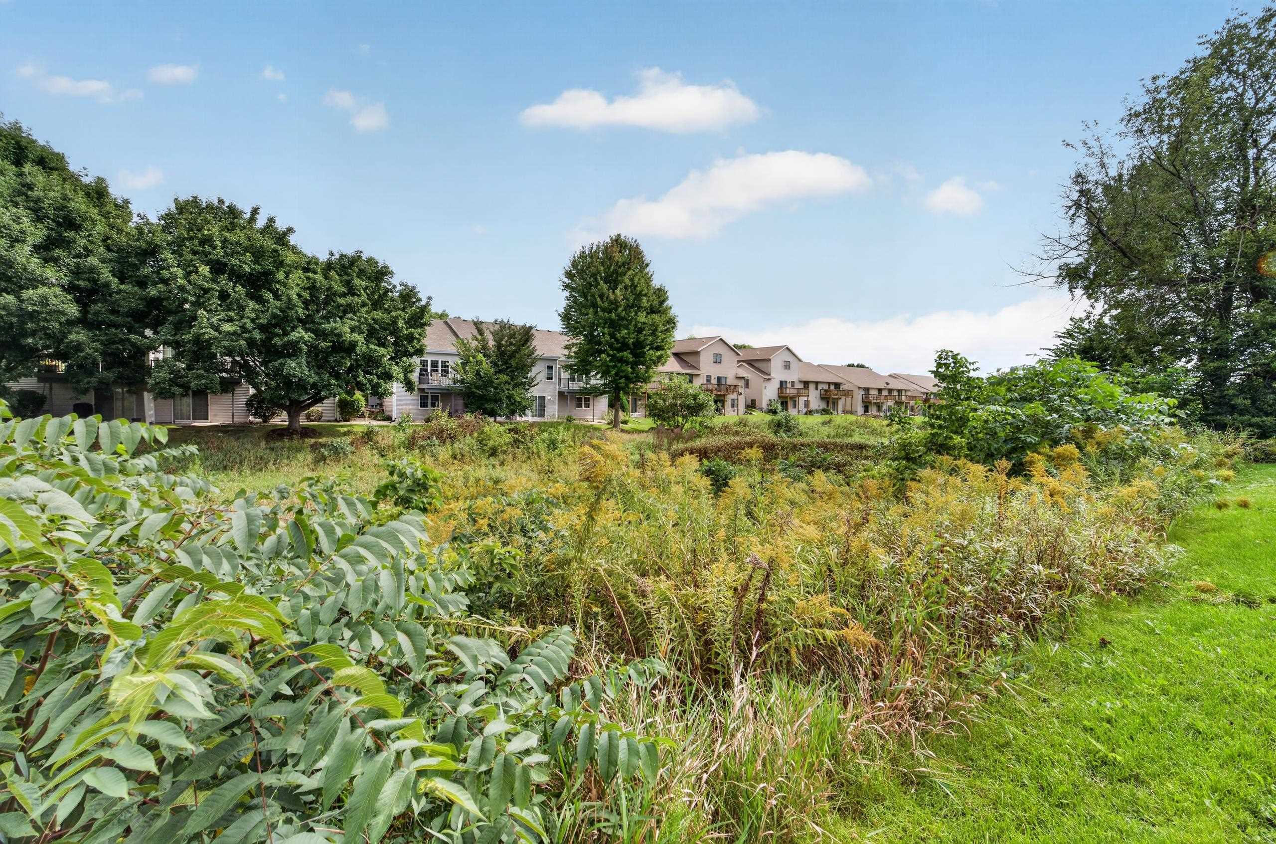 3867 Maple Grove Drive