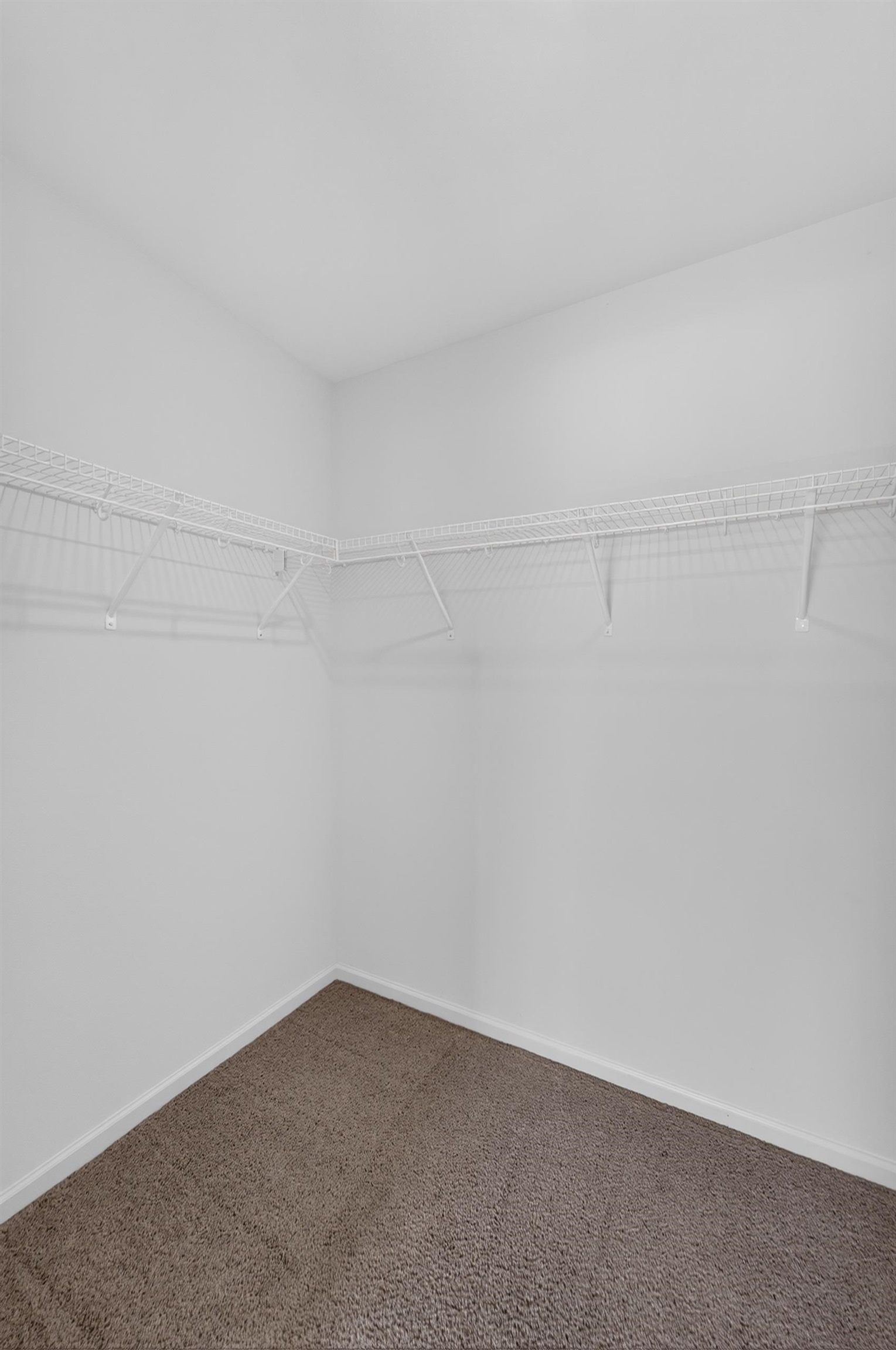 180 Caraway Place