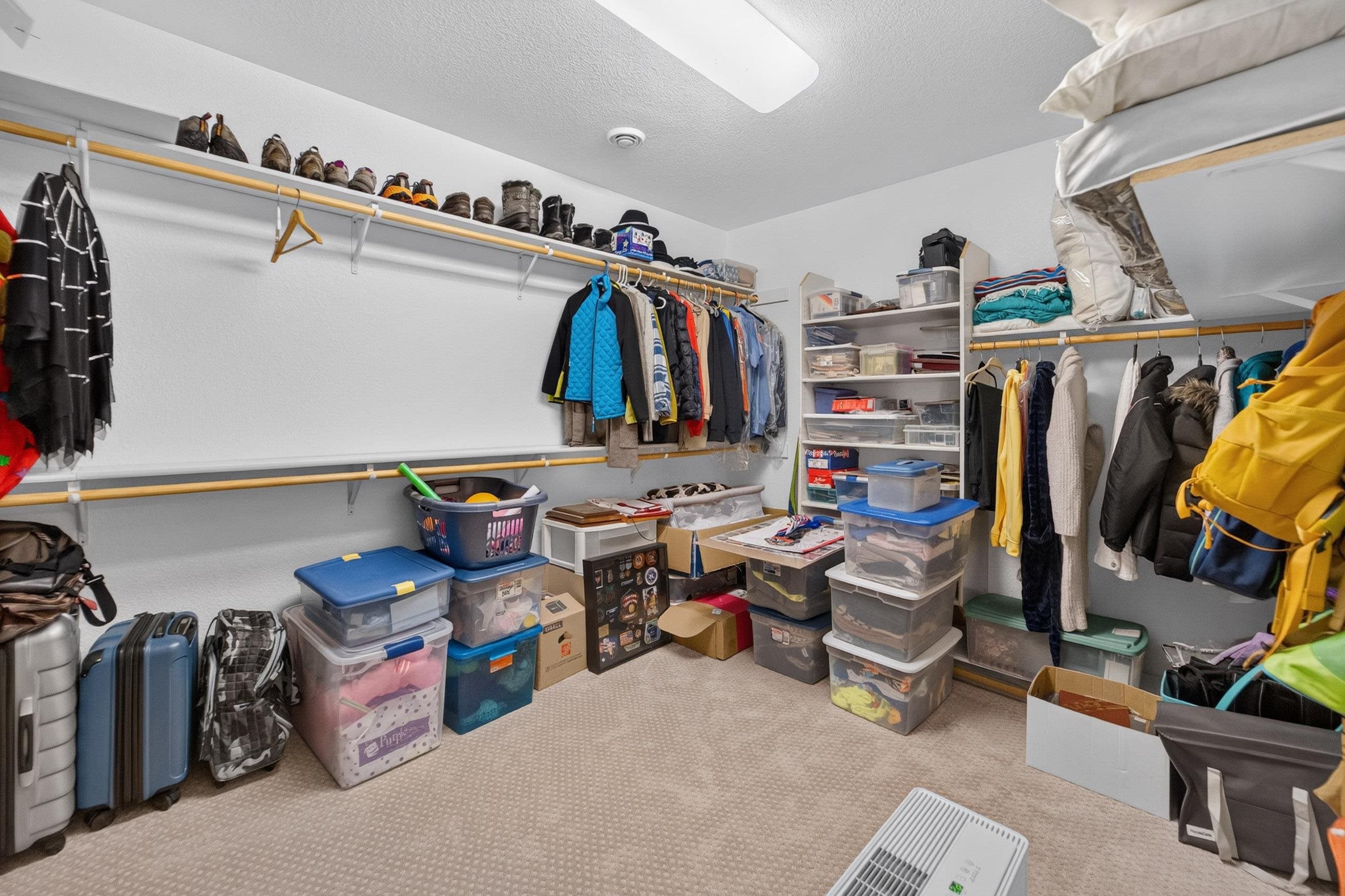 2055 St Albert The Great Drive