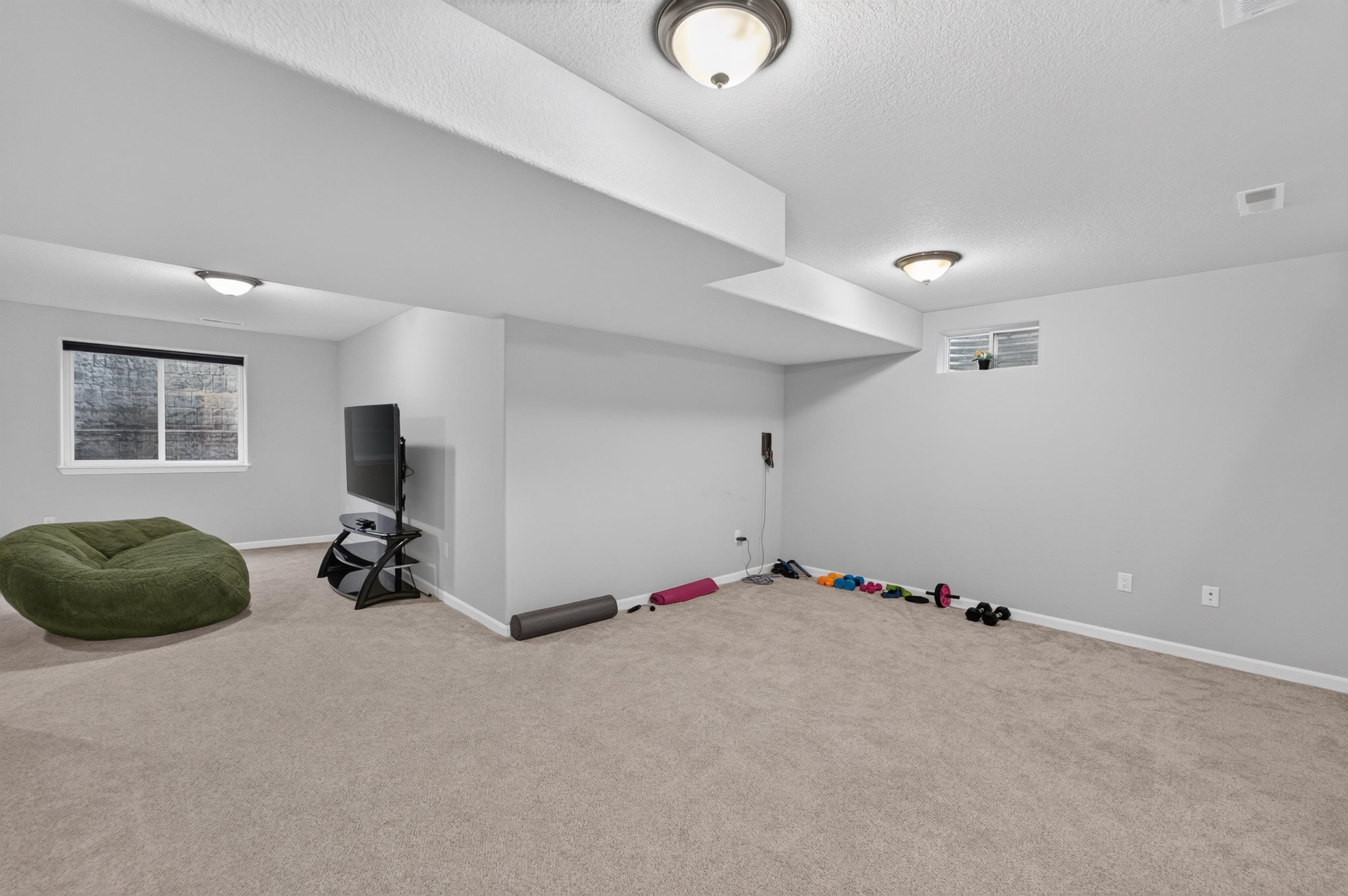 517 Dragon Willow Lane