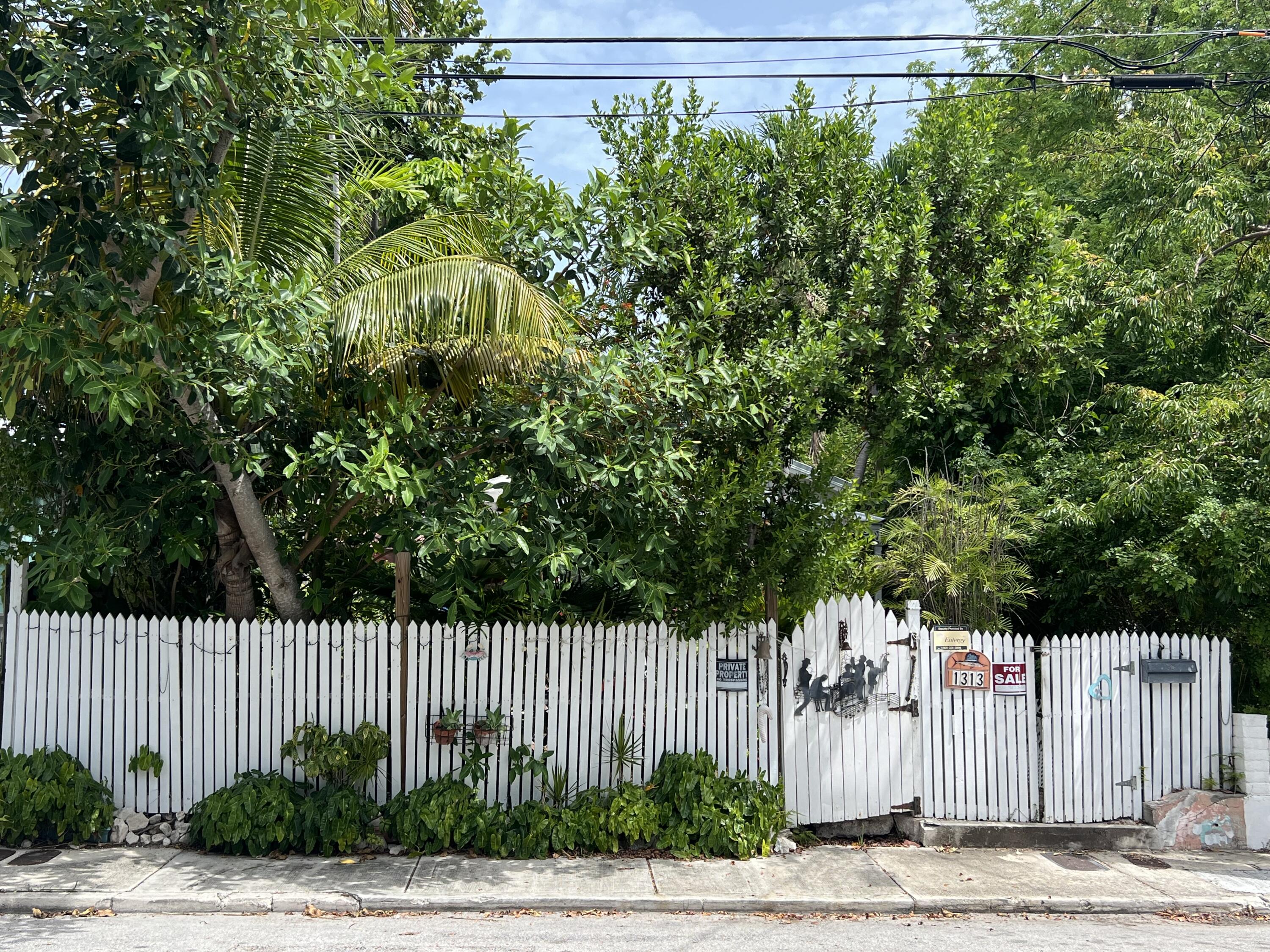 1313 Petronia Street
