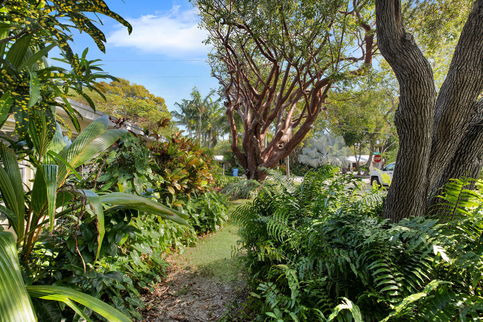 110 Pippin Drive