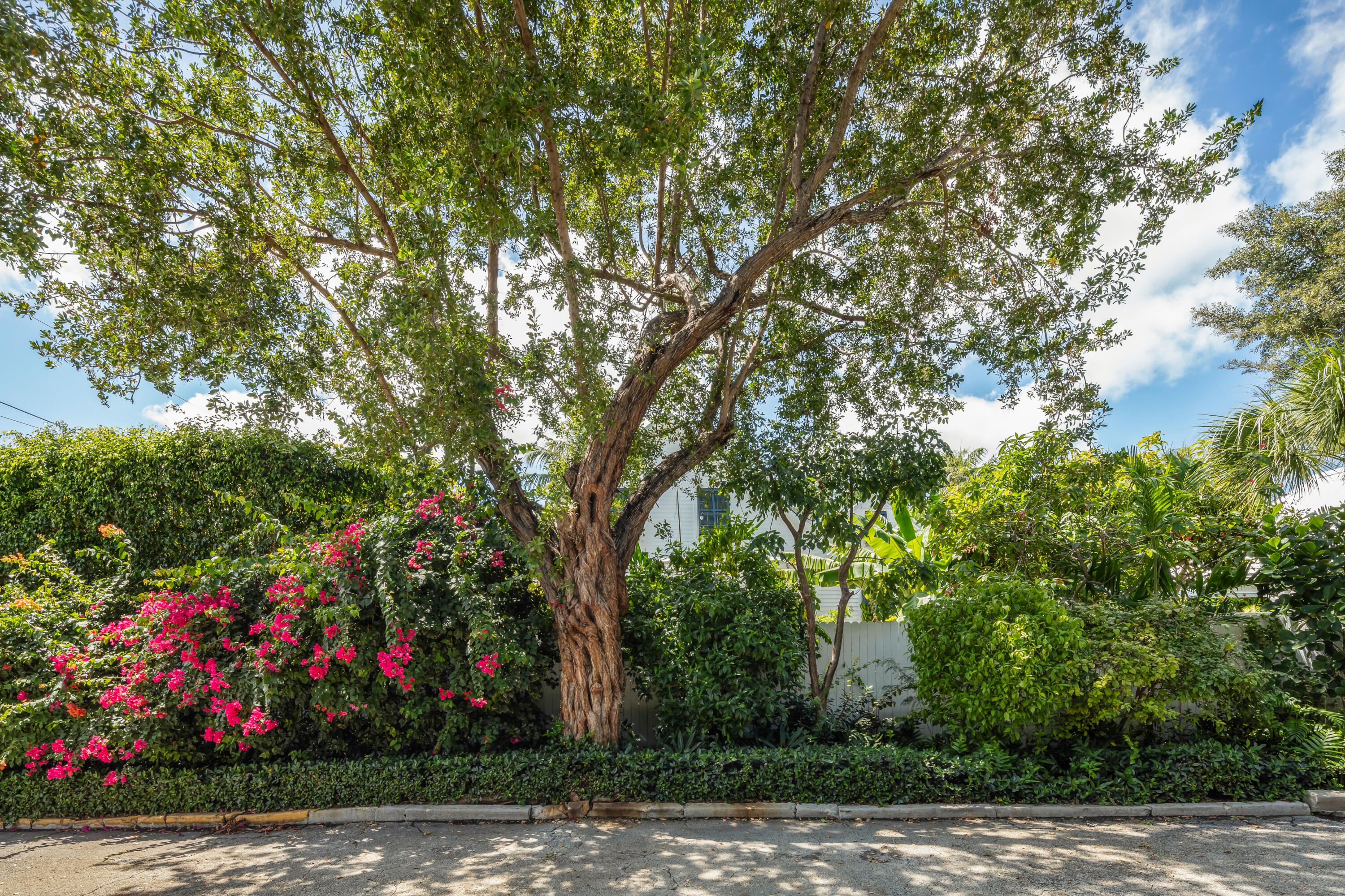1423 Petronia Street
