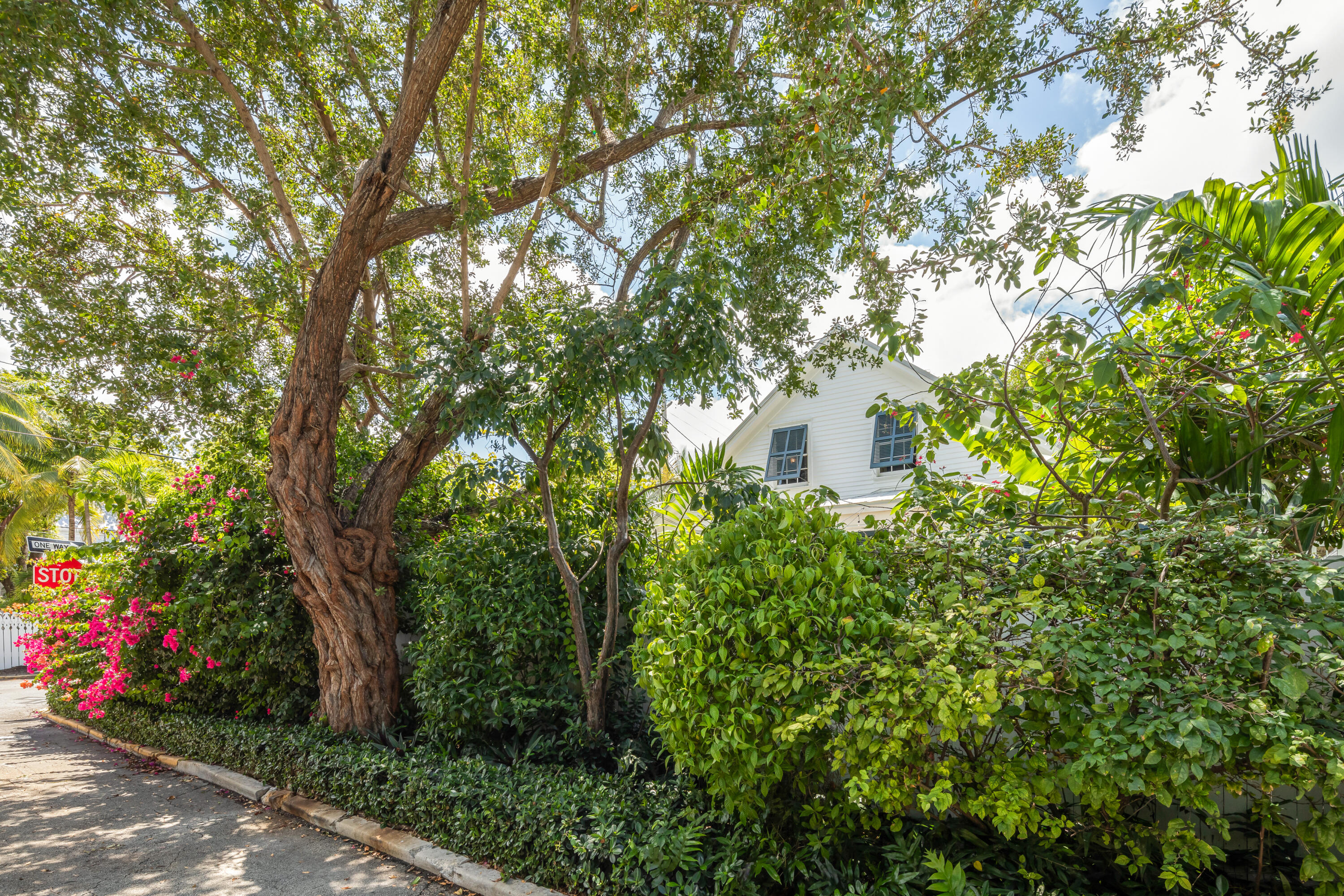 1423 Petronia Street