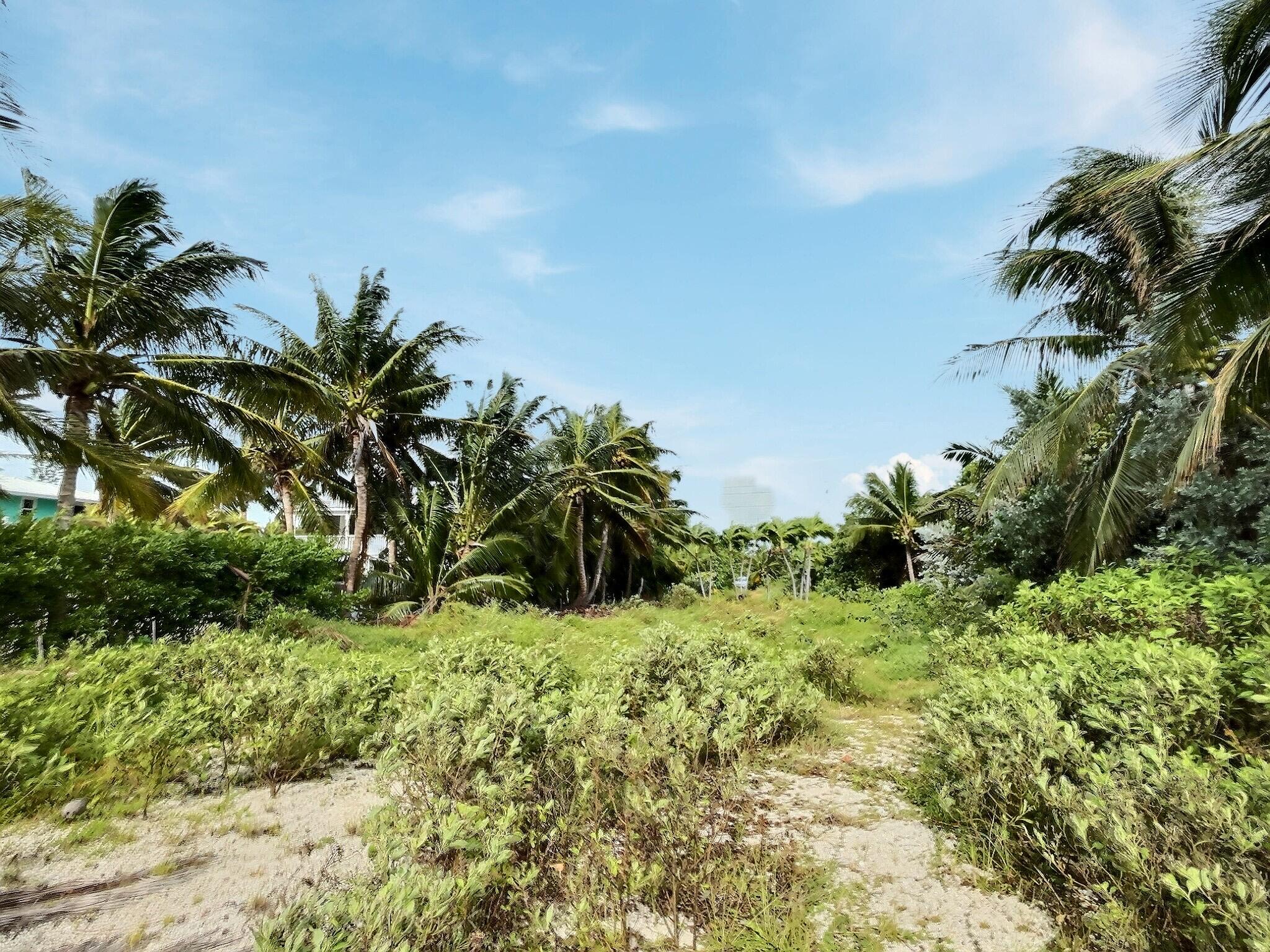 58622 Overseas Highway