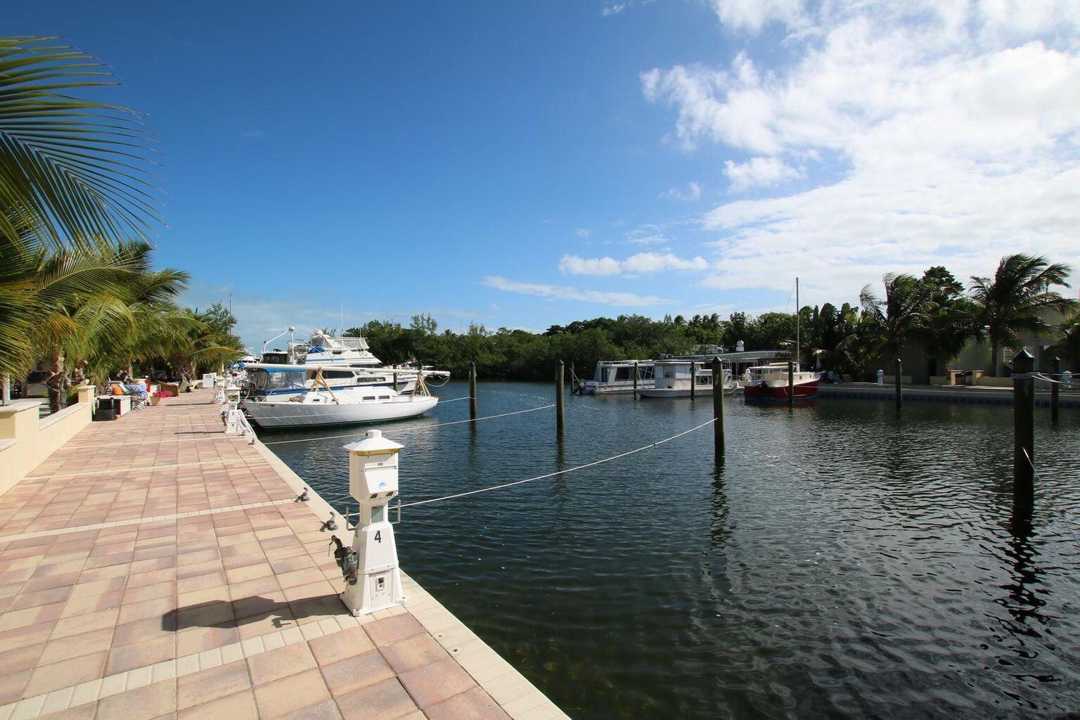 96 Madeira Road 4