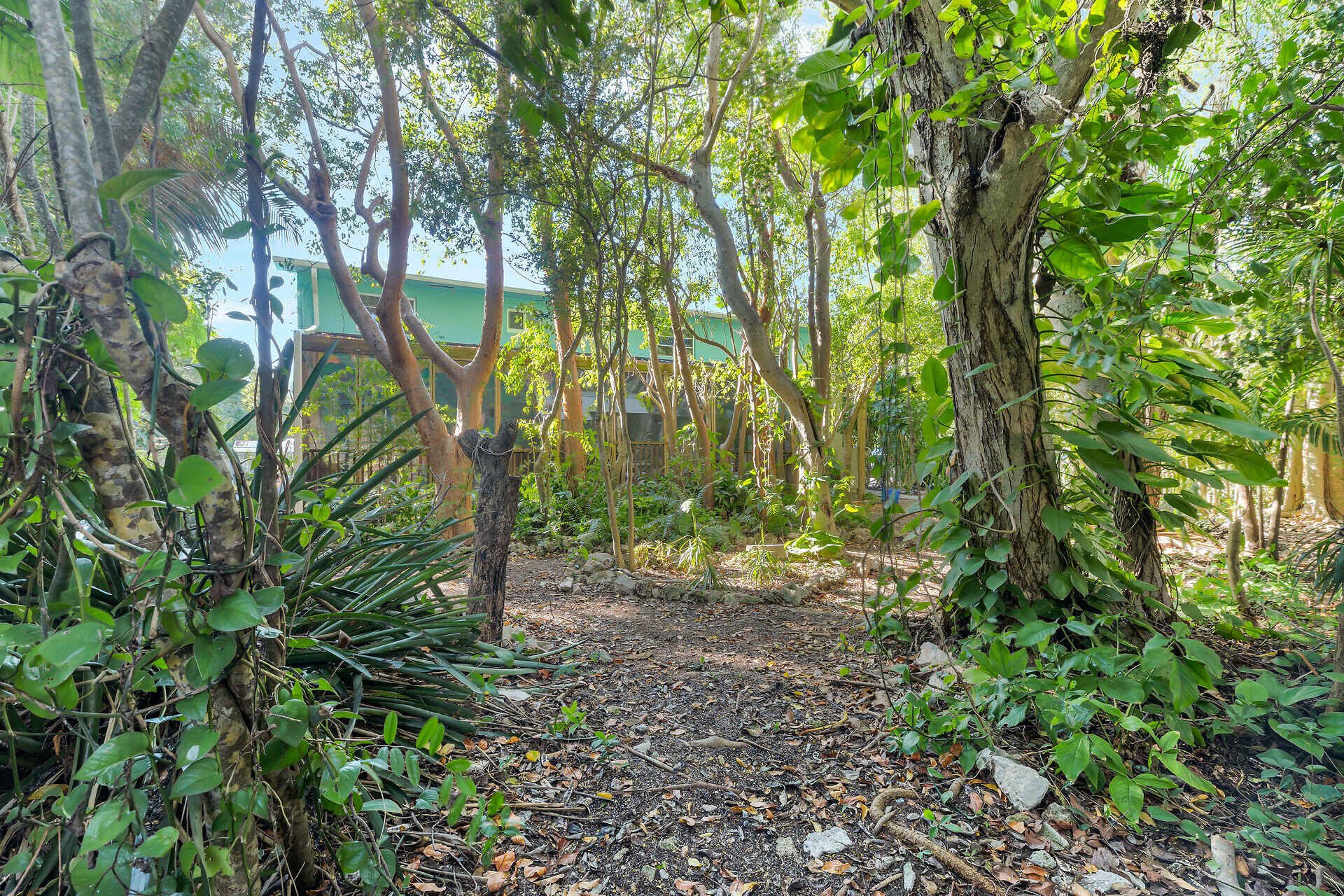 185 Dove Lake Drive