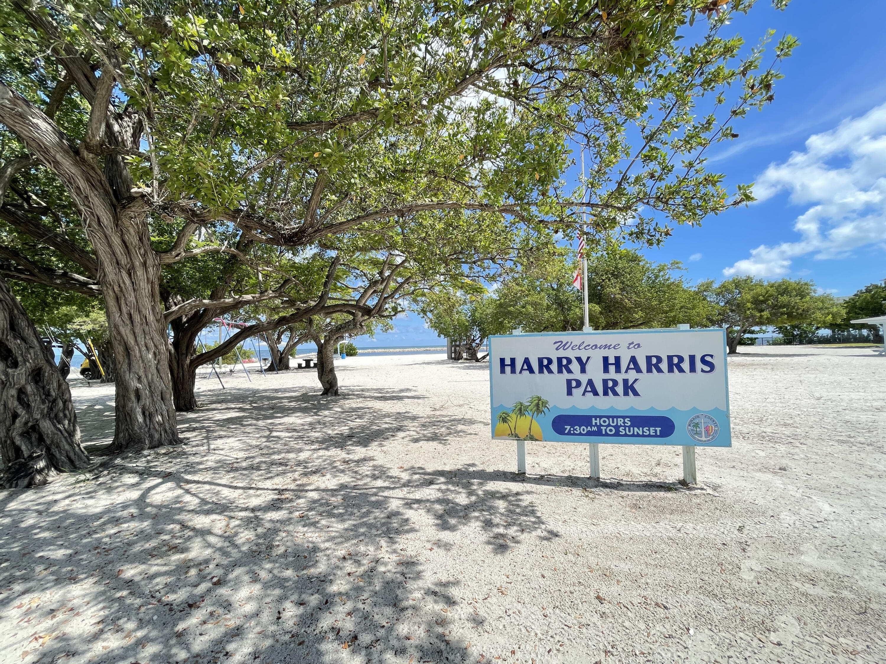 118 Harry Harris Drive