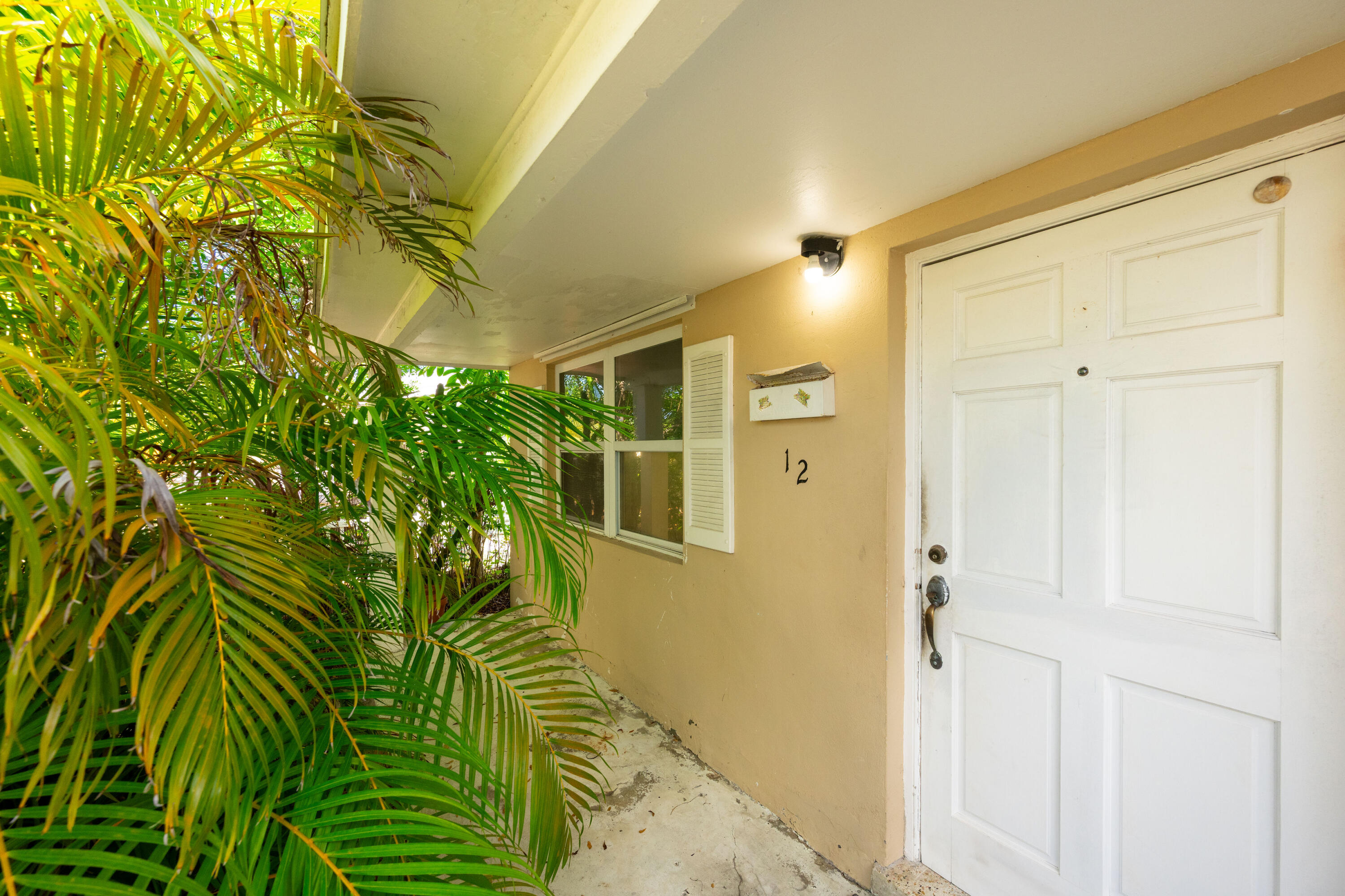 12 Aster Terrace