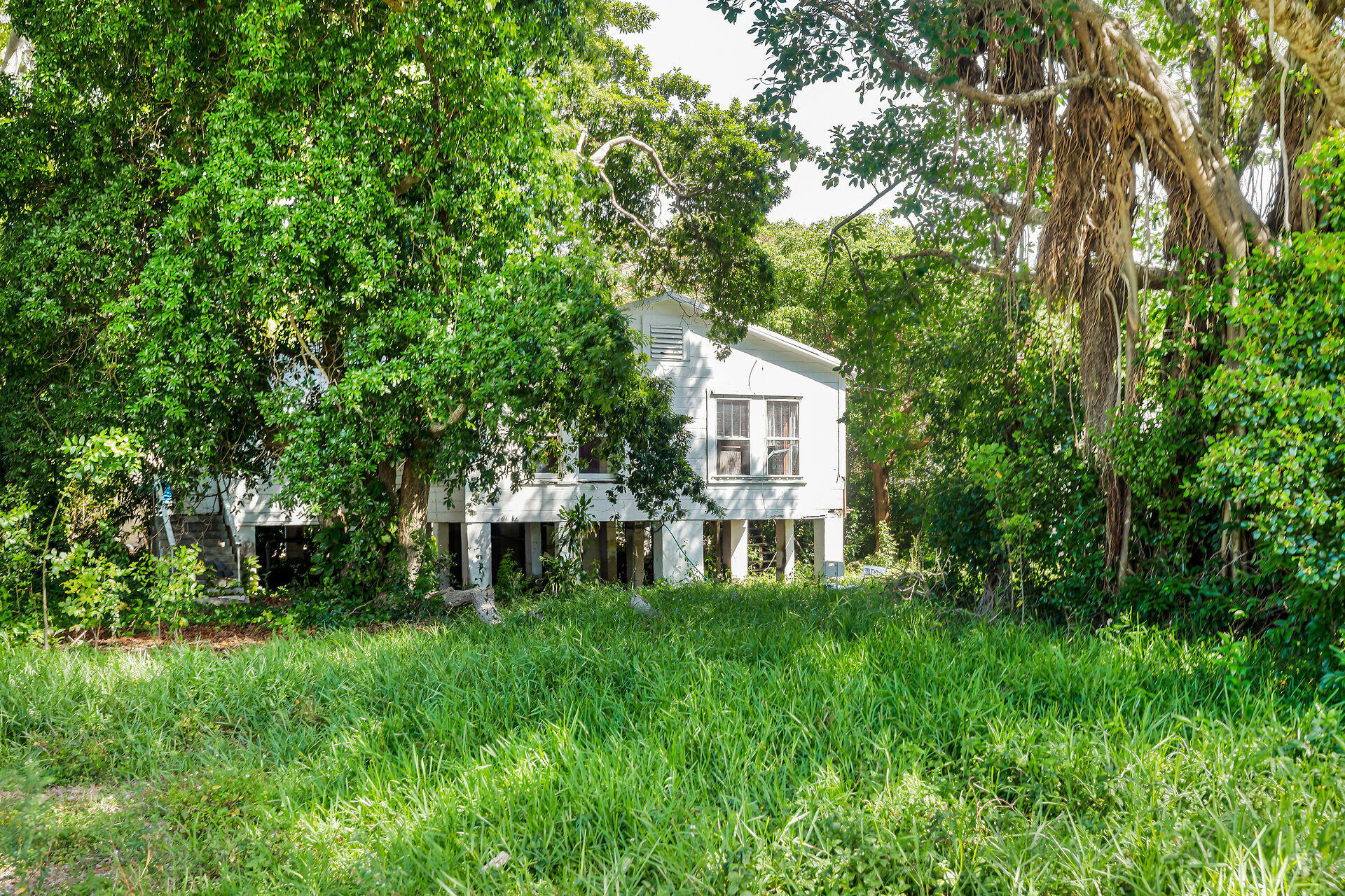 204 Ocean Boulevard