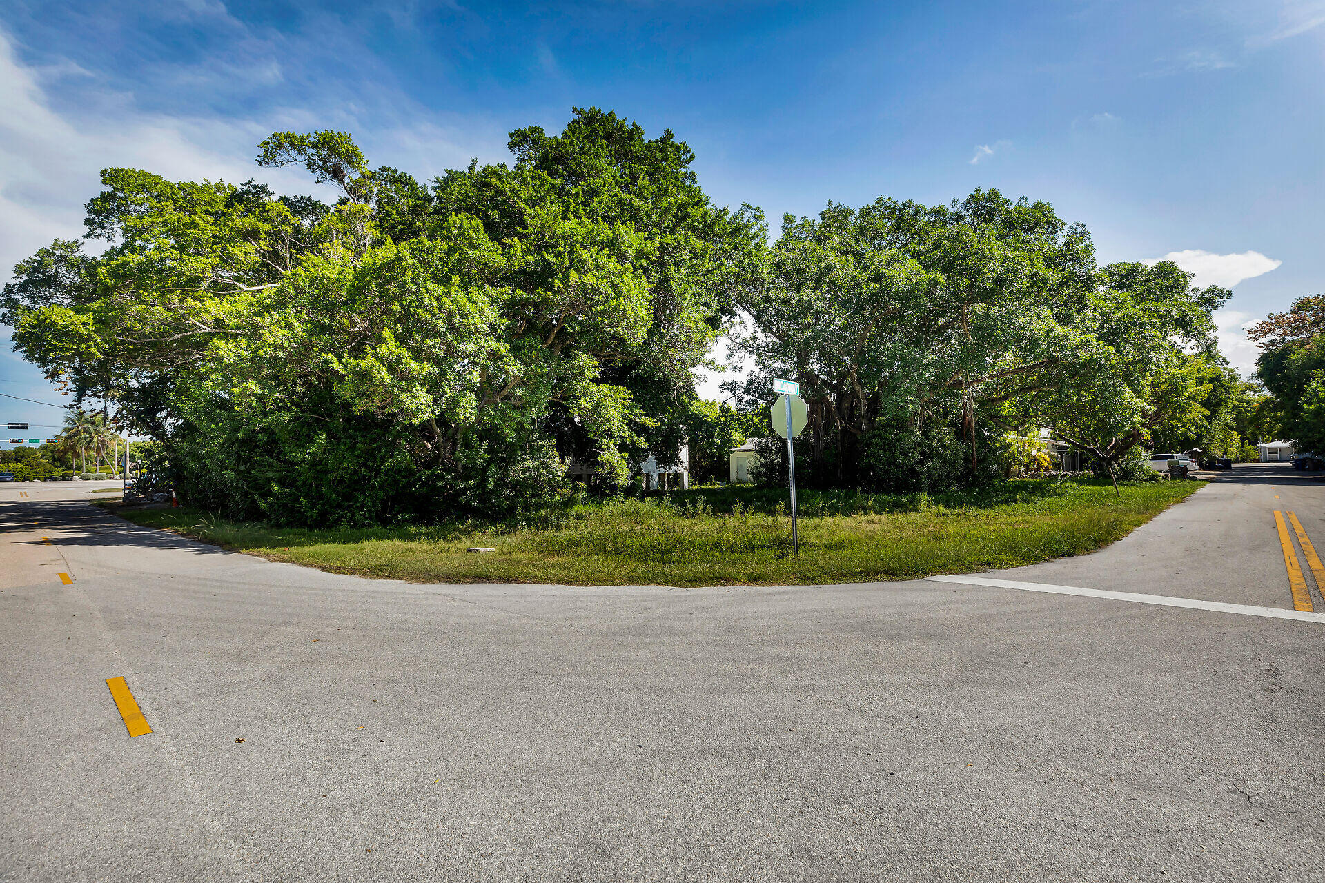 204 Ocean Boulevard