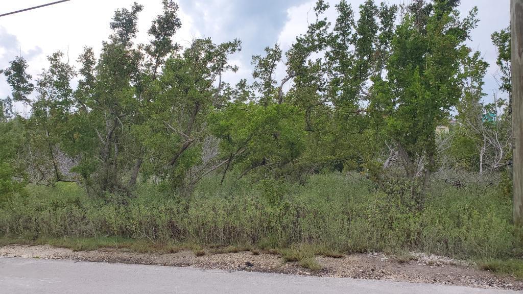 Calle Limon, Lot 25