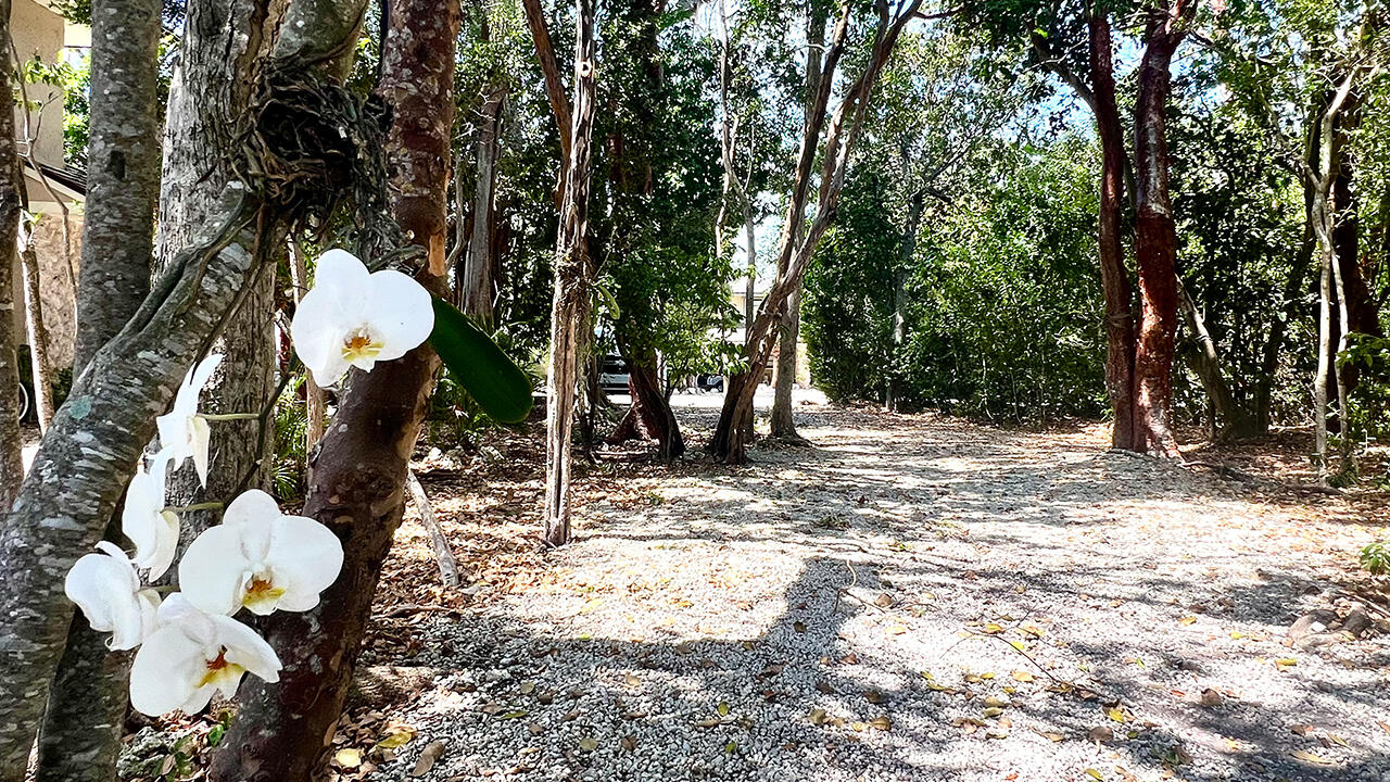 96000 Overseas Highway P1 + 32' Boat Slip