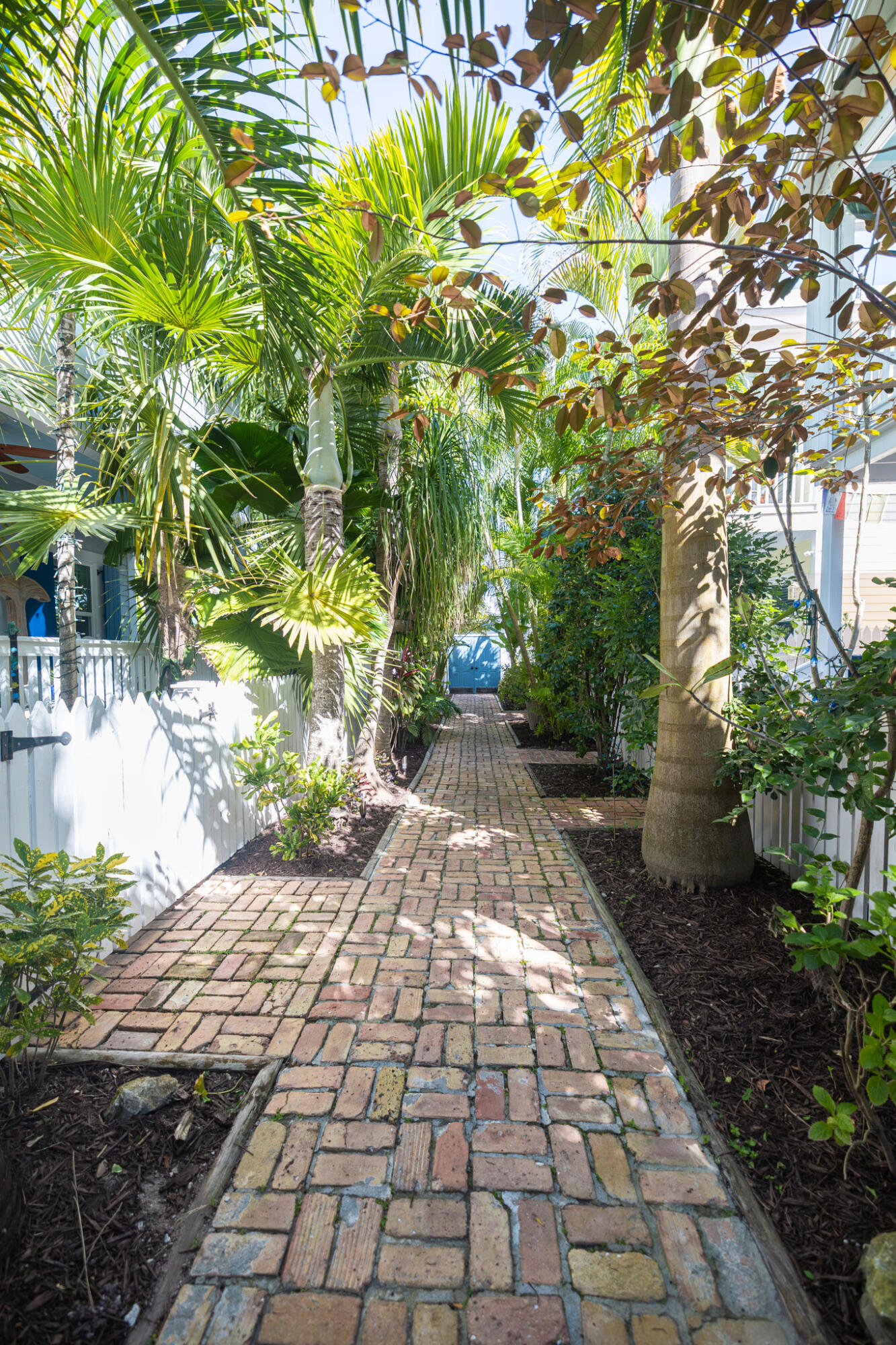 1012 Packer Street 7A