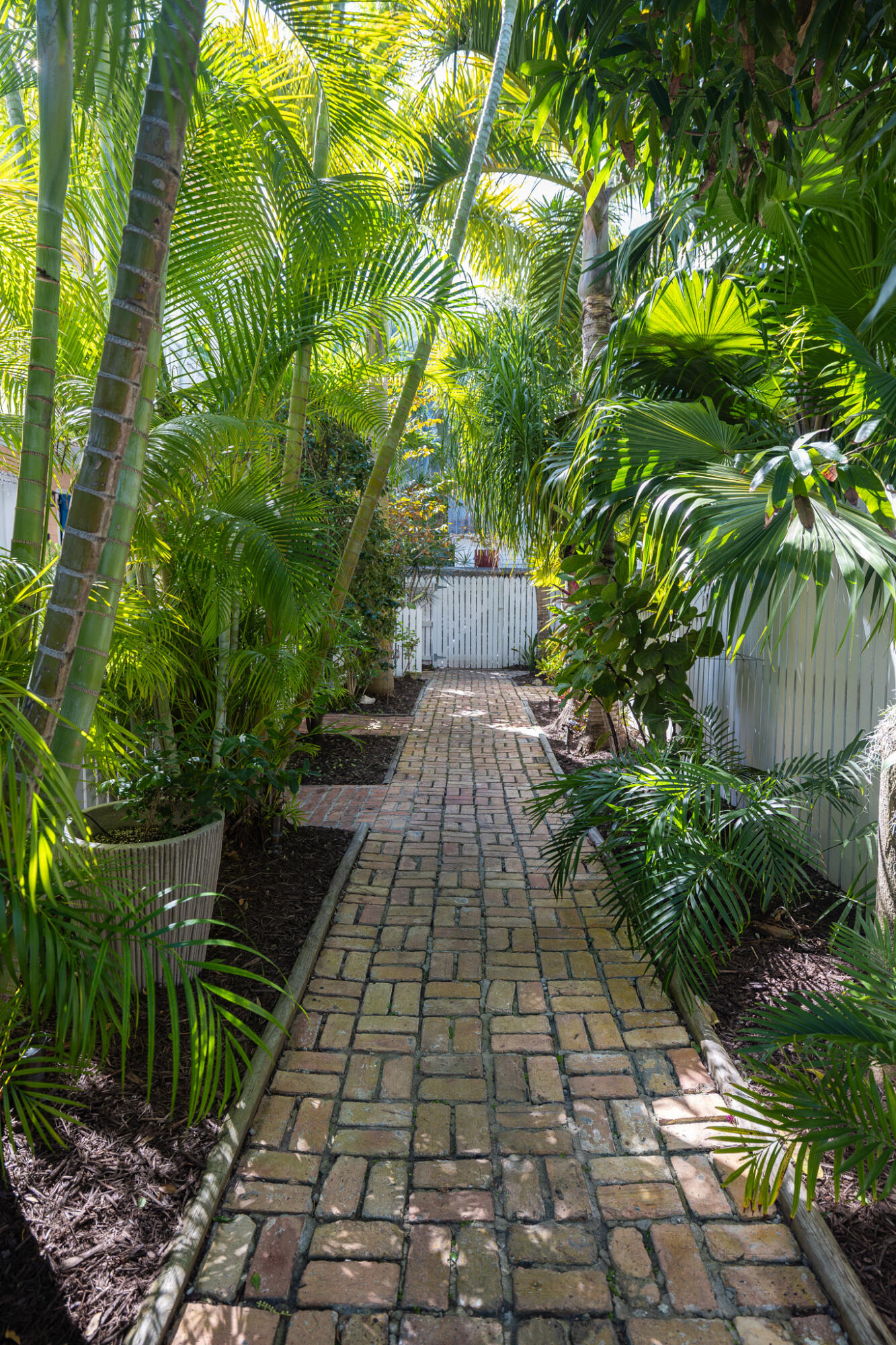 1012 Packer Street 7A
