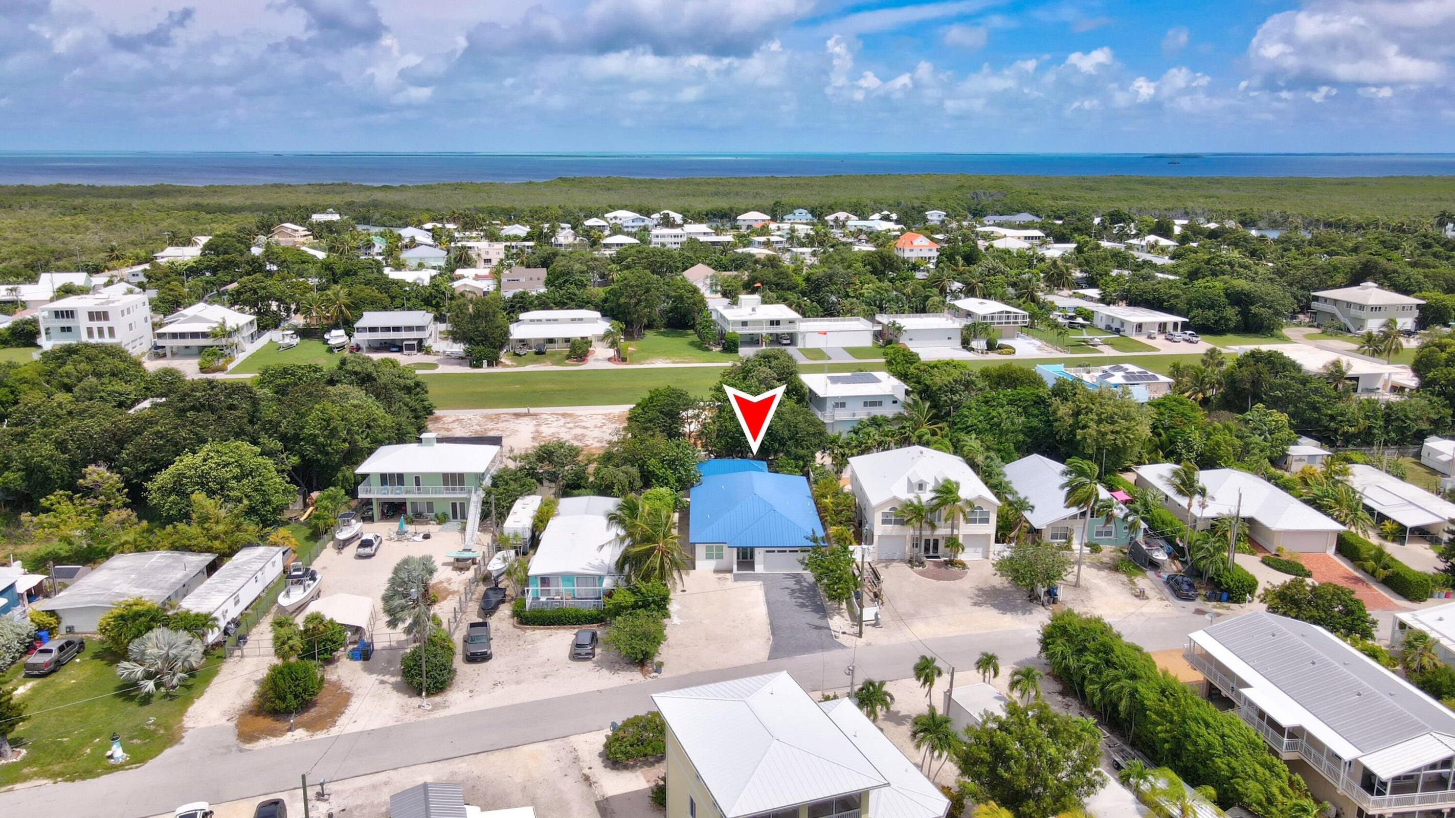 141 Orchid Street