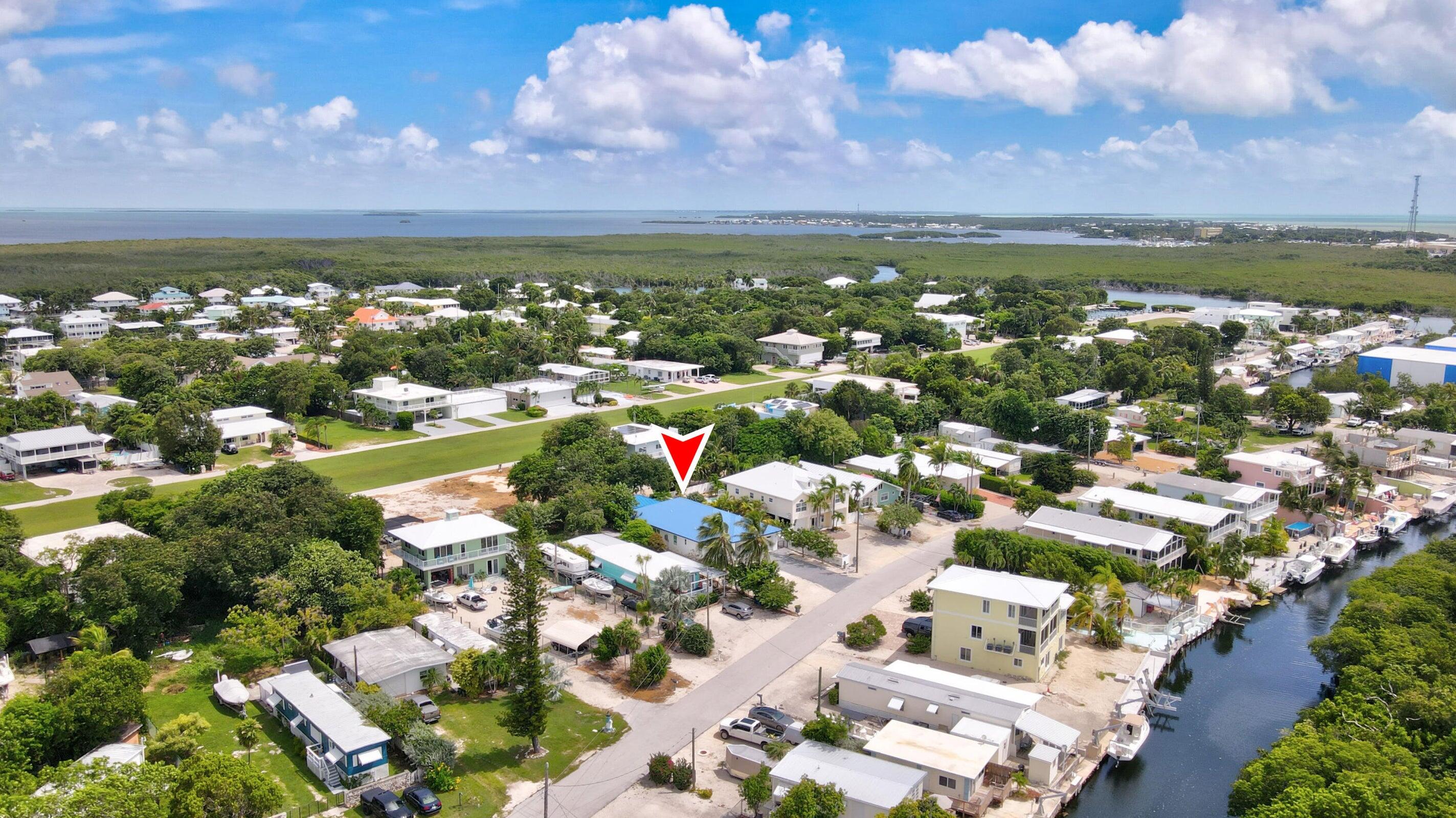 141 Orchid Street