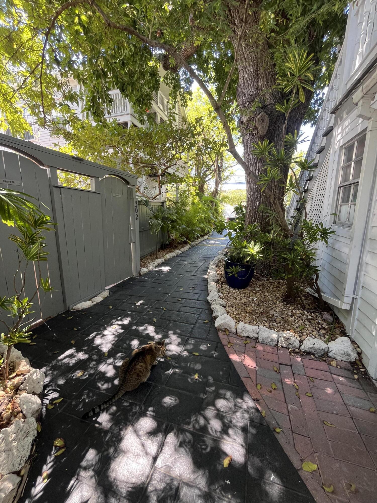 323 Whitehead Street 508 Wks 5 & 6