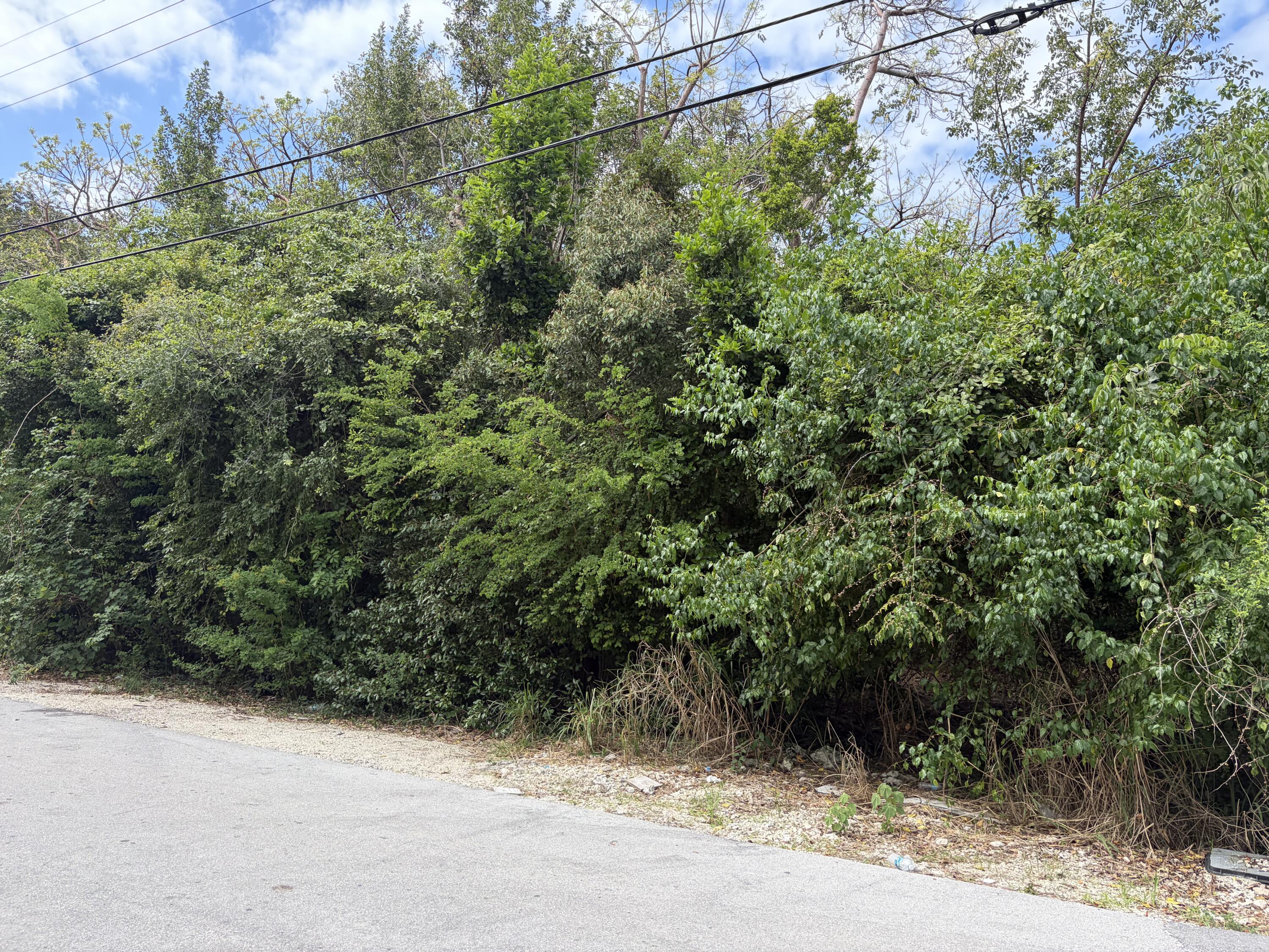 1028 Snapper Lane