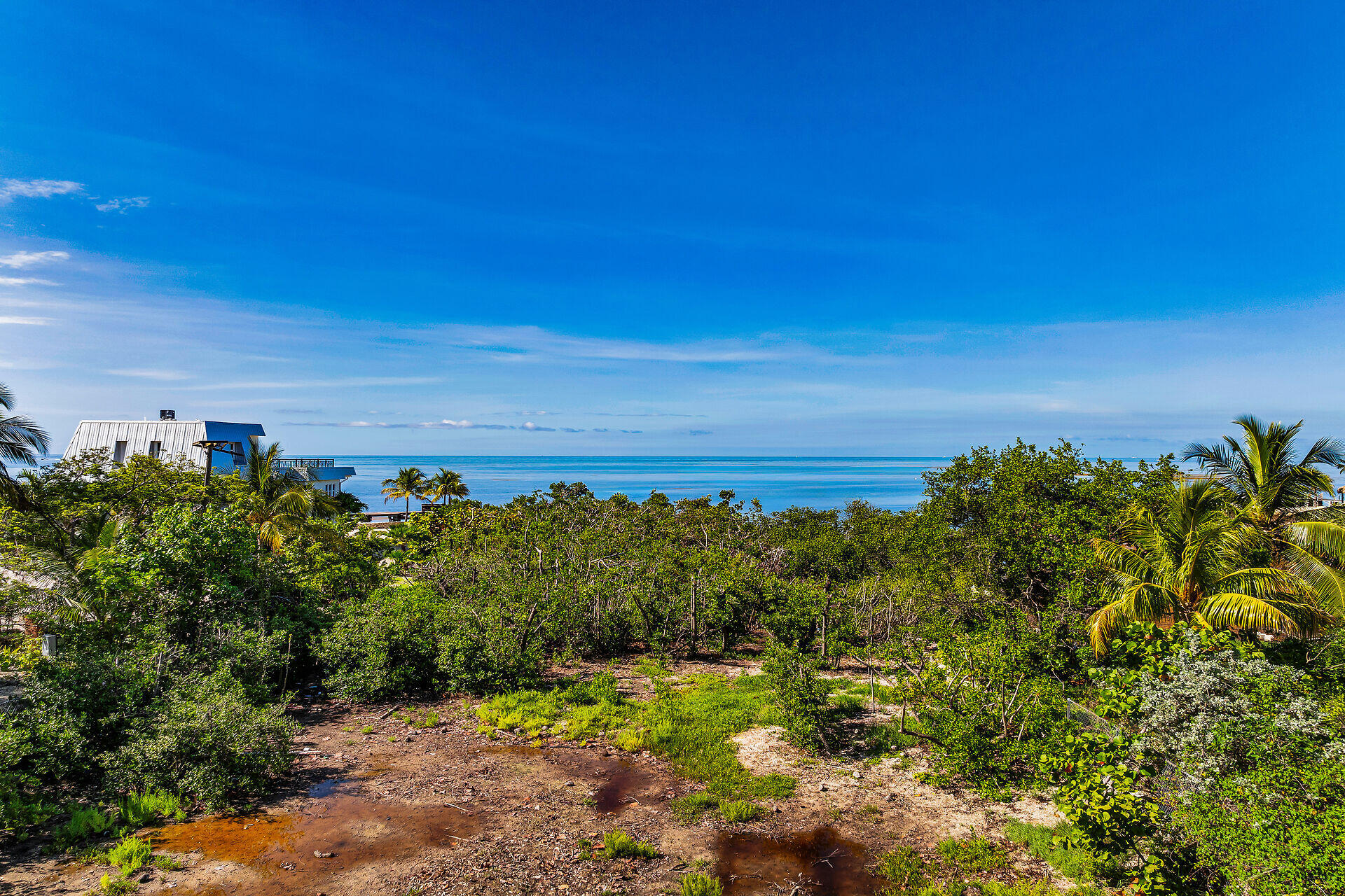 229 Coral Road