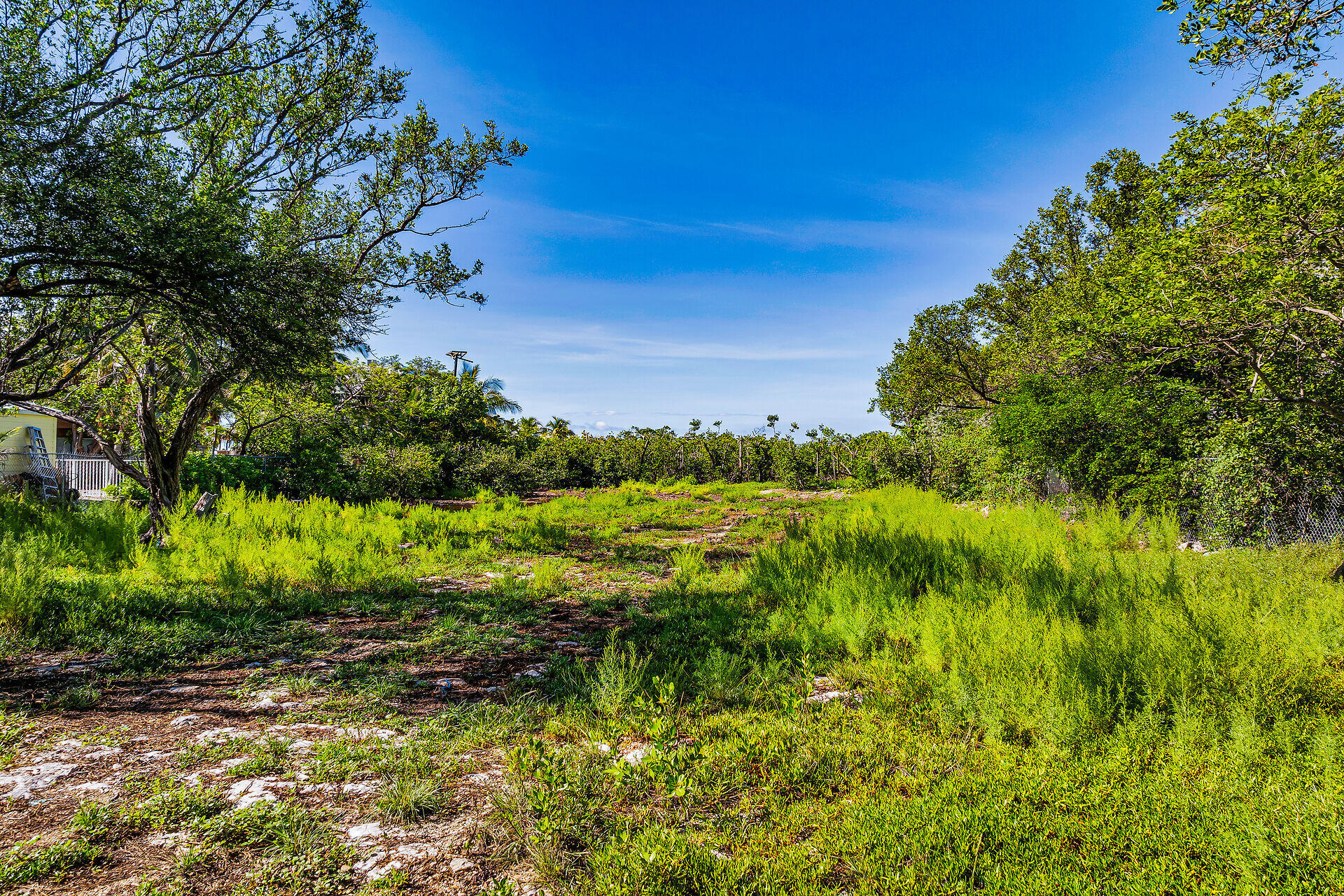 229 Coral Road