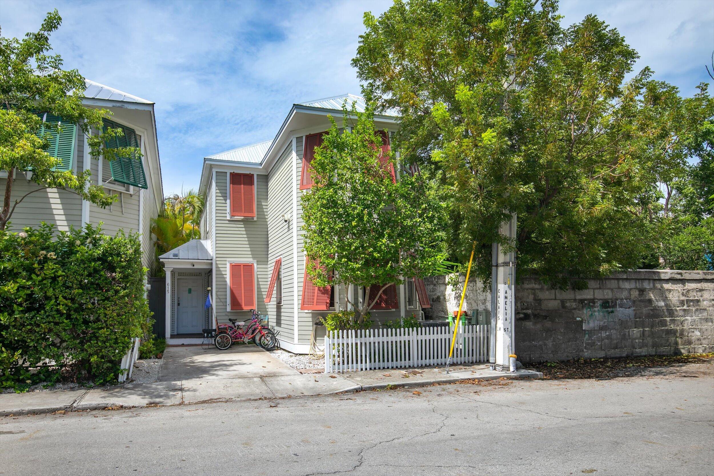 615 Amelia Street