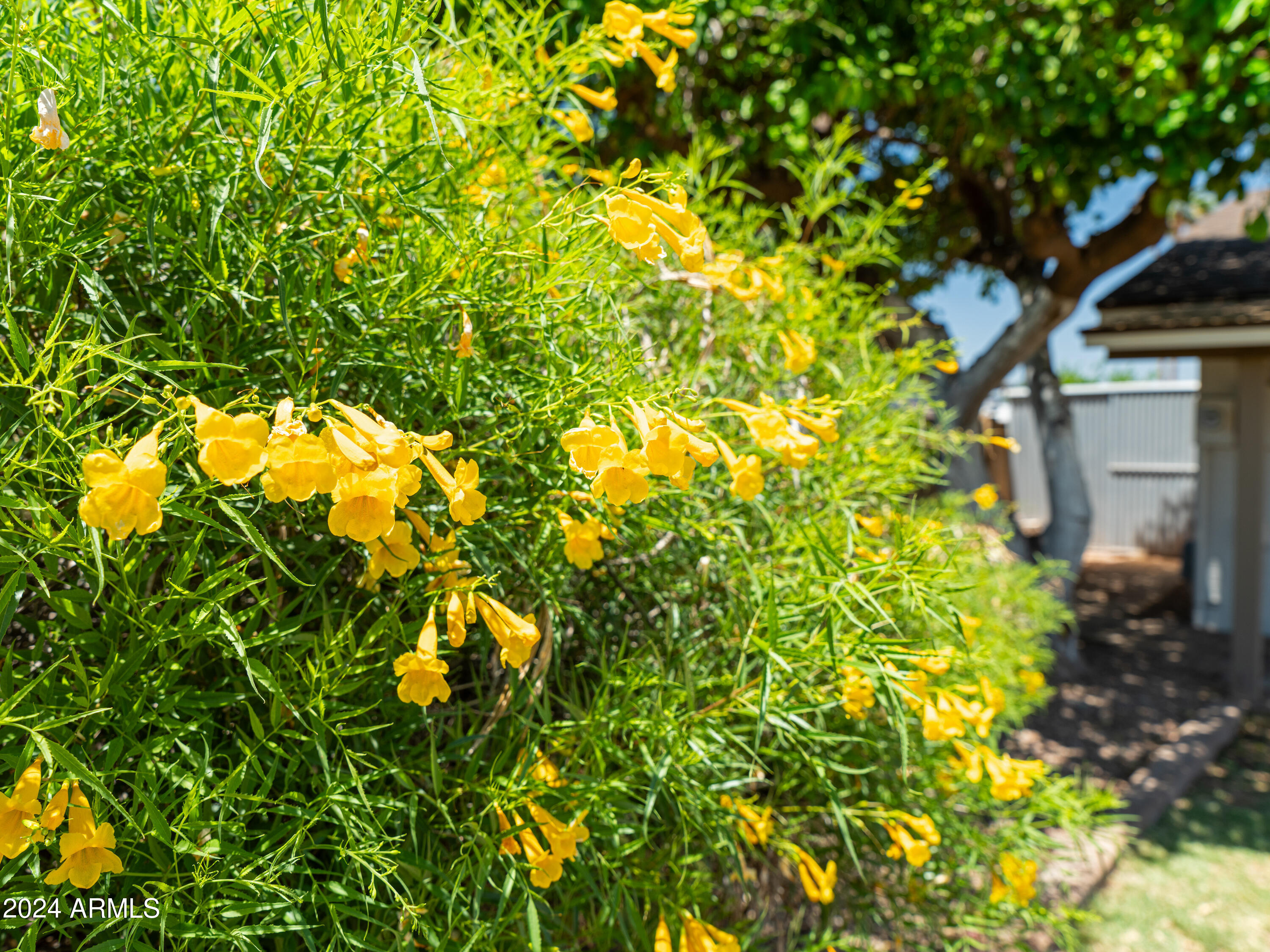 1507 E PALMCROFT Drive