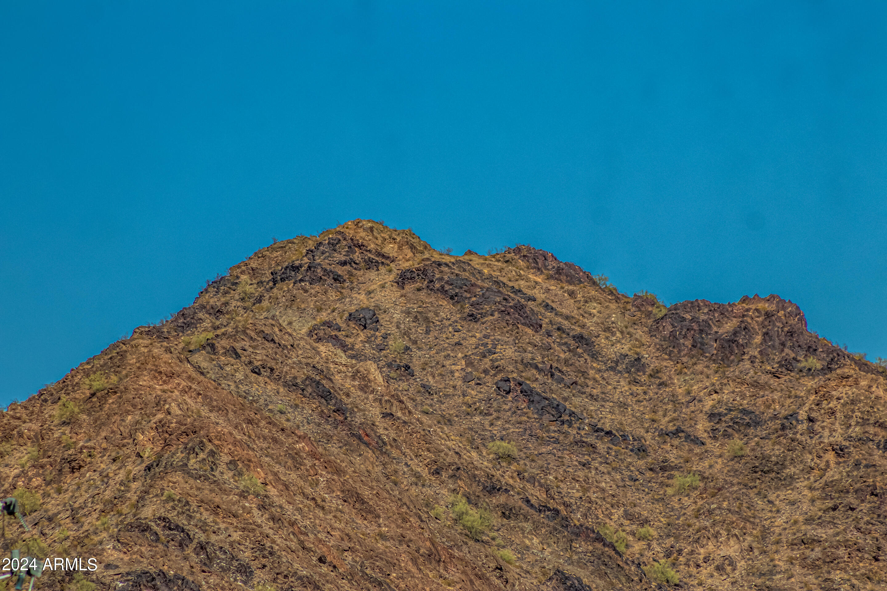 8841 N 8TH Street, 207