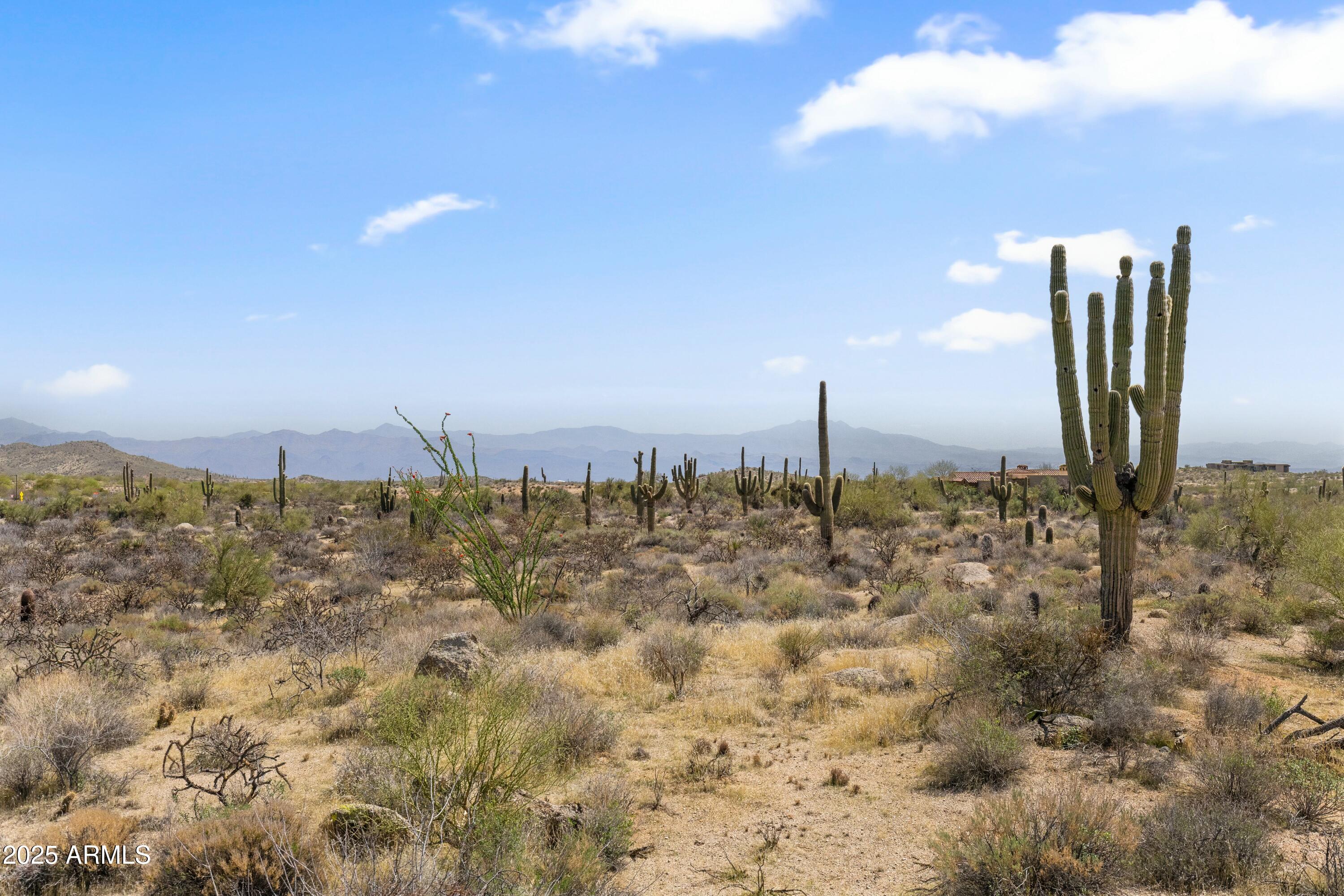 11650 E BLUE SKY Drive, -