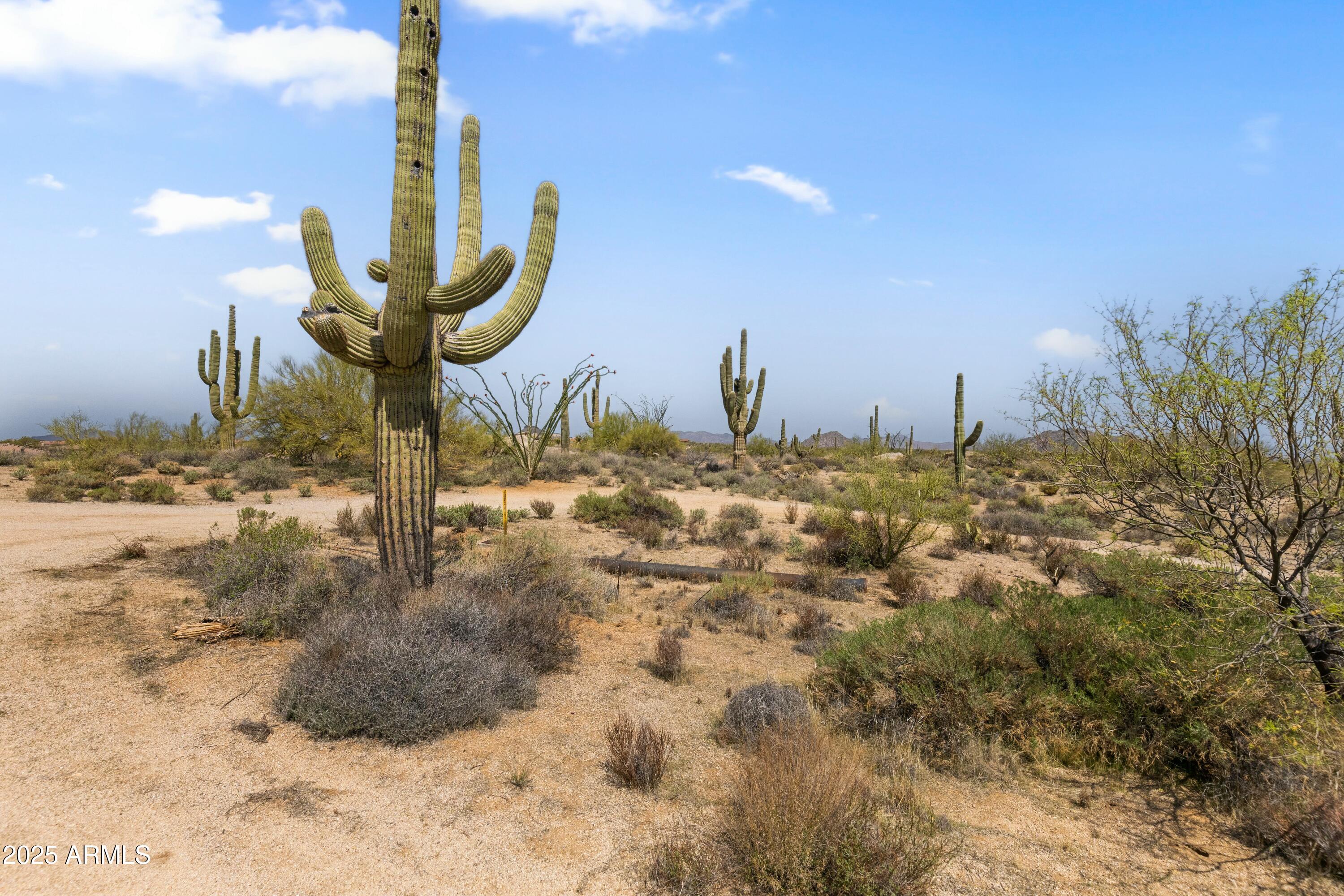11650 E BLUE SKY Drive, -