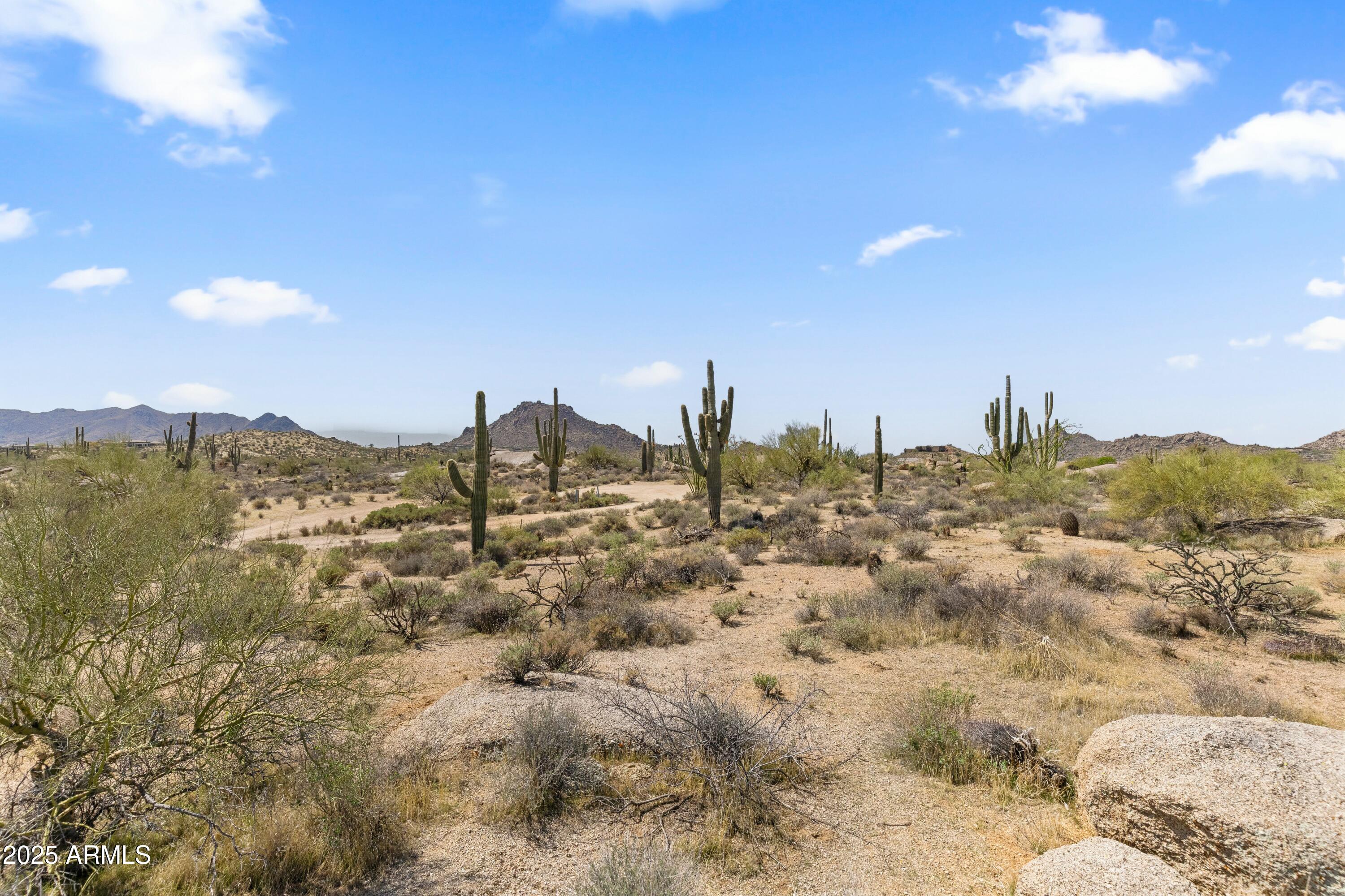 11650 E BLUE SKY Drive, -