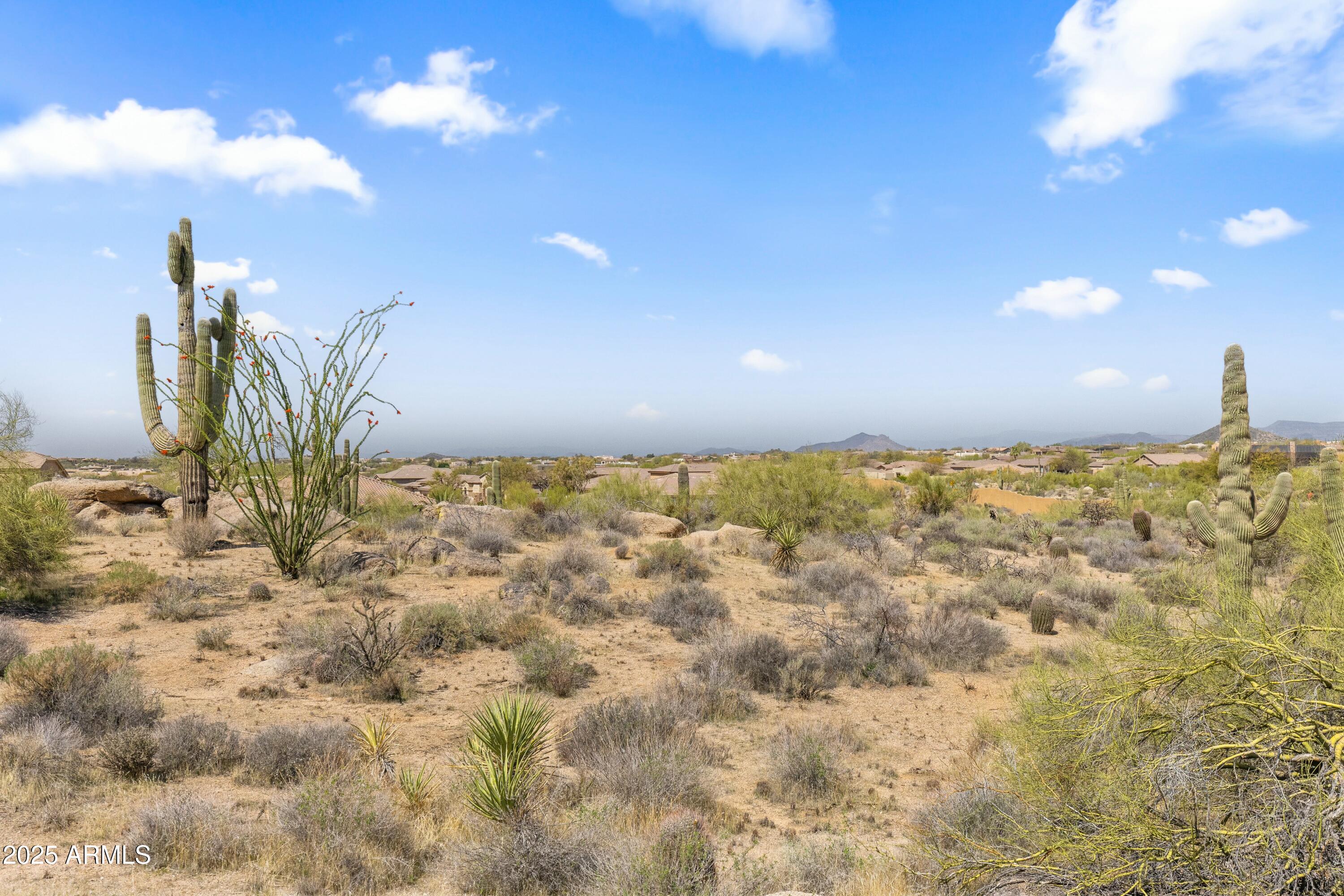 11650 E BLUE SKY Drive, -