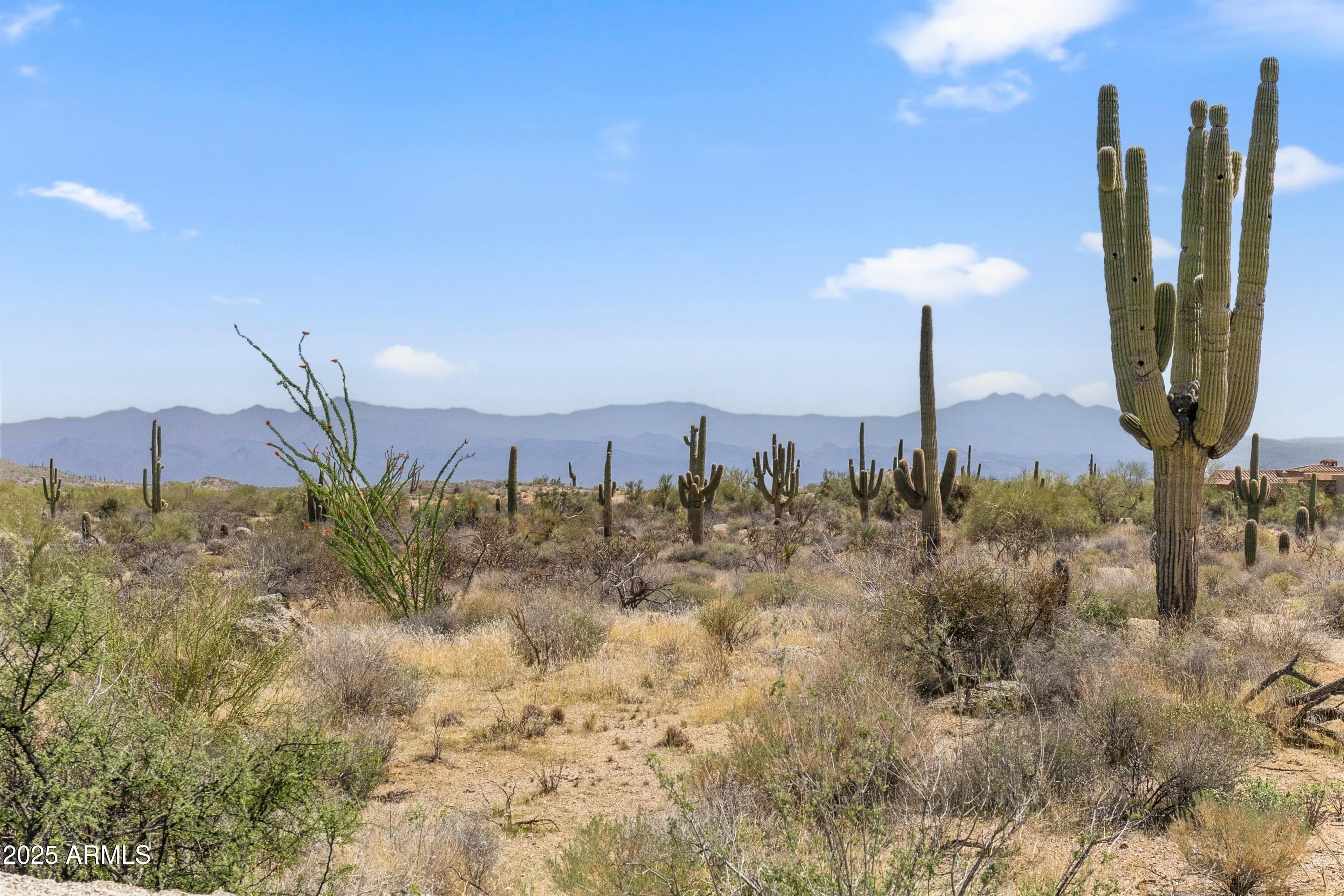 11650 E BLUE SKY Drive, -