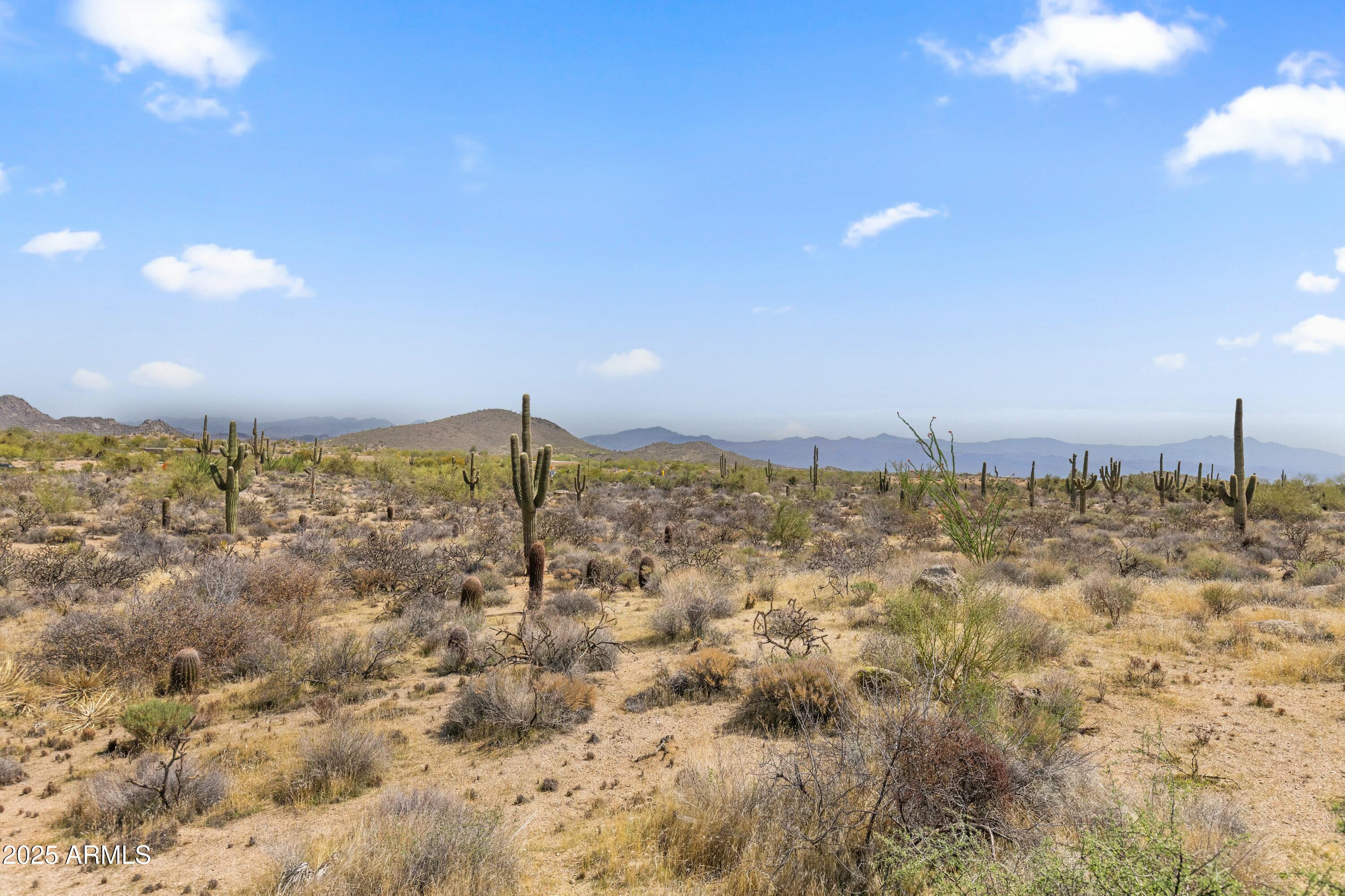 11650 E BLUE SKY Drive, -