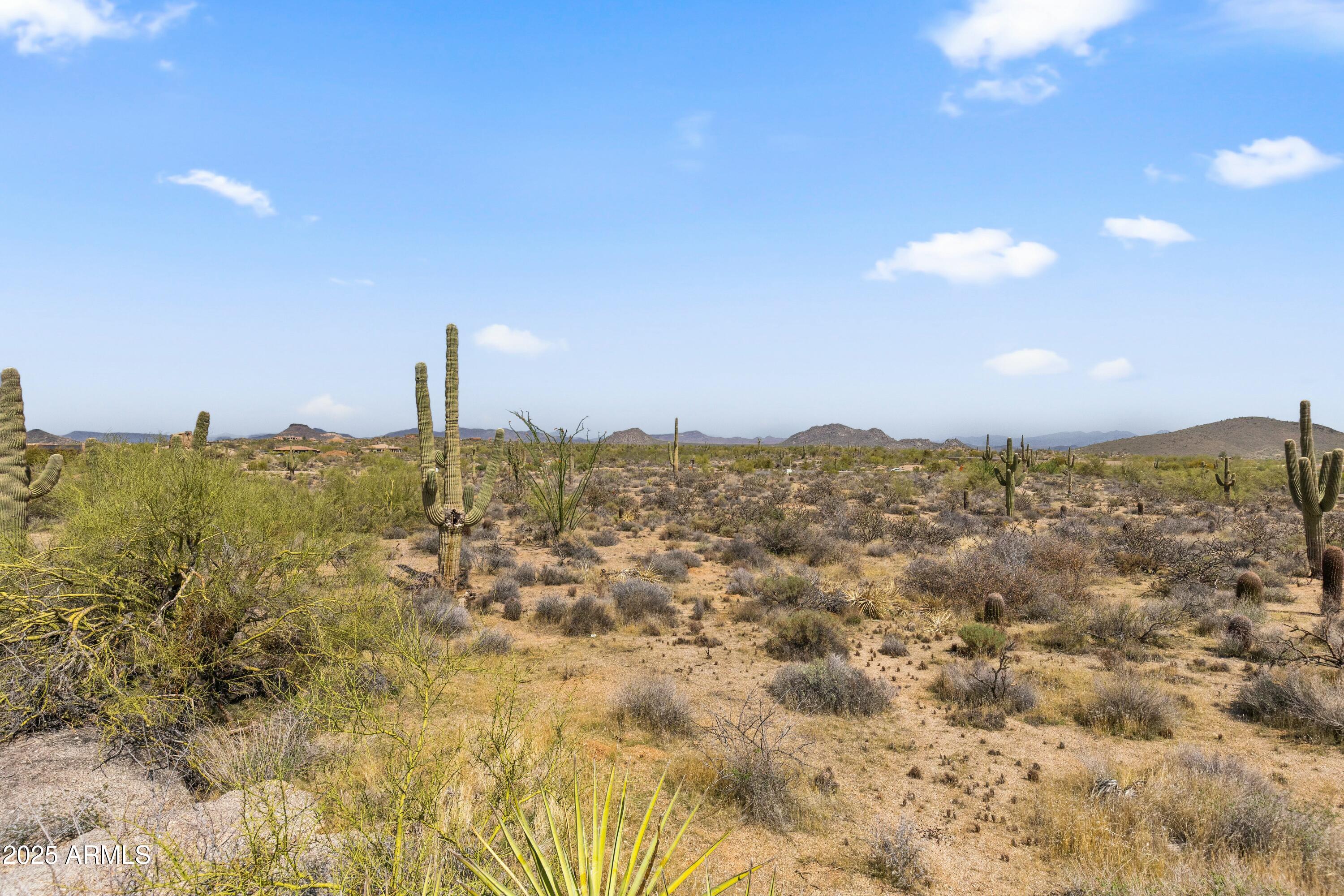 11650 E BLUE SKY Drive, -