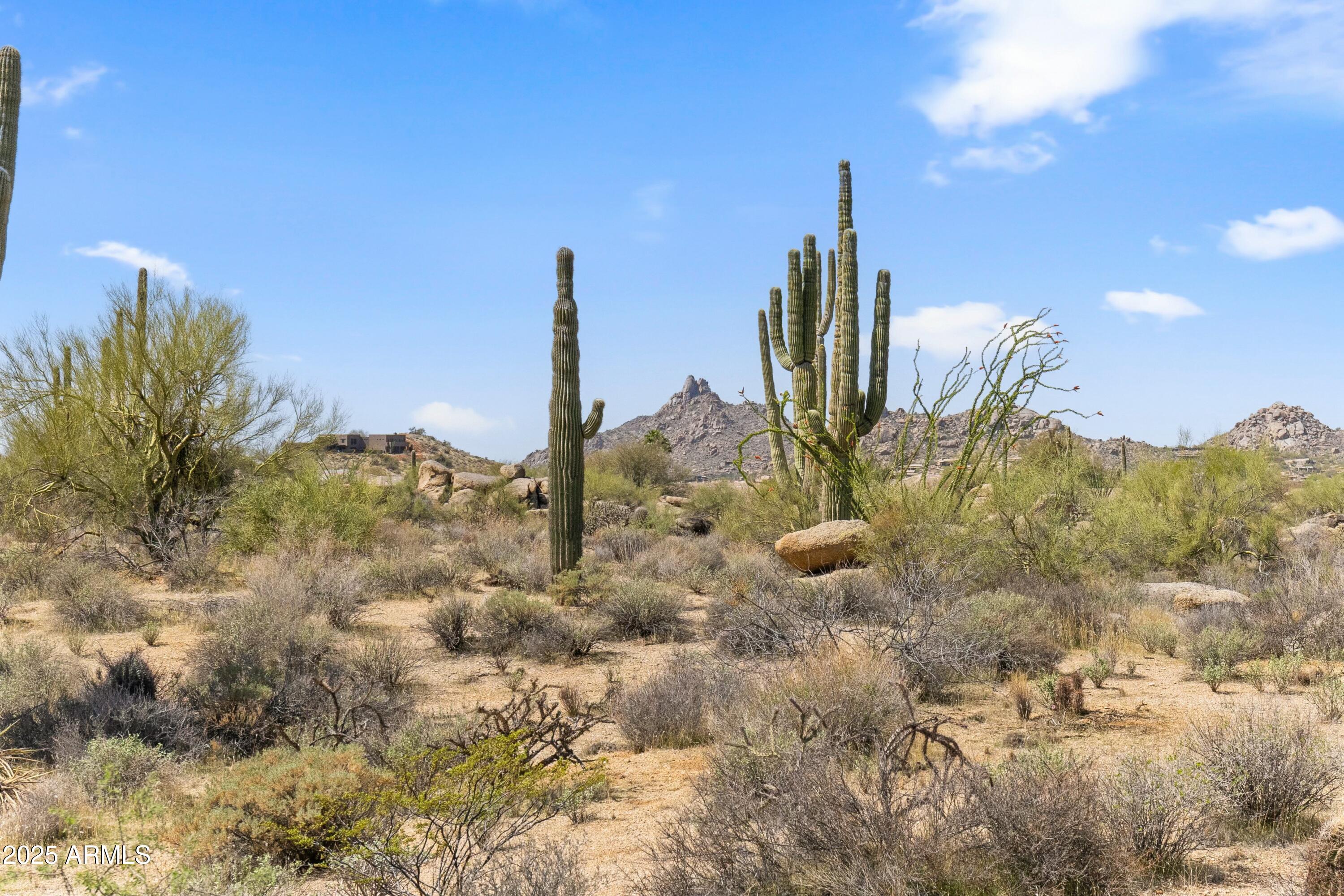11650 E BLUE SKY Drive, -