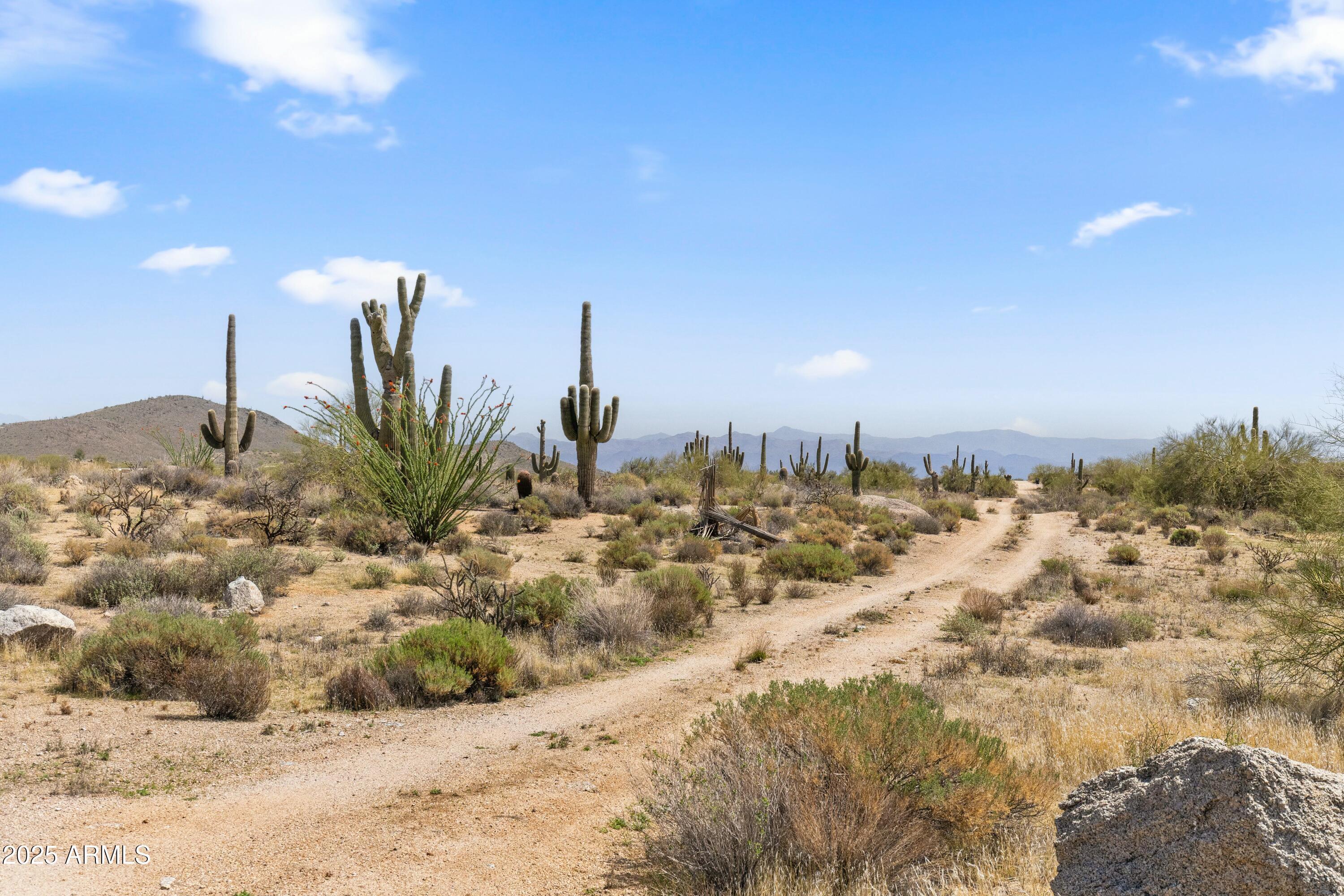 11650 E BLUE SKY Drive, -