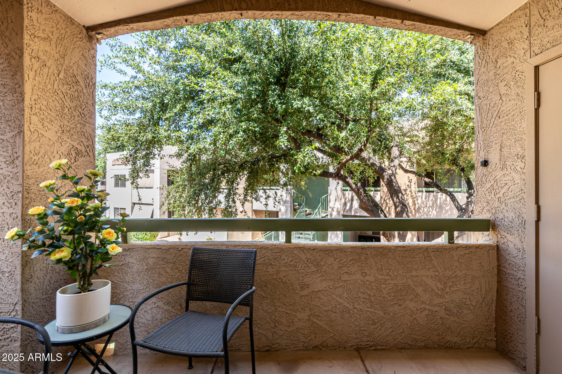 1295 N ASH Street, 922