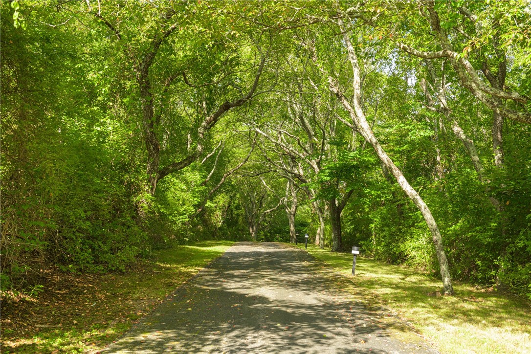 A paved driveway curves beneath mature trees, with small lights along the grassy edges.