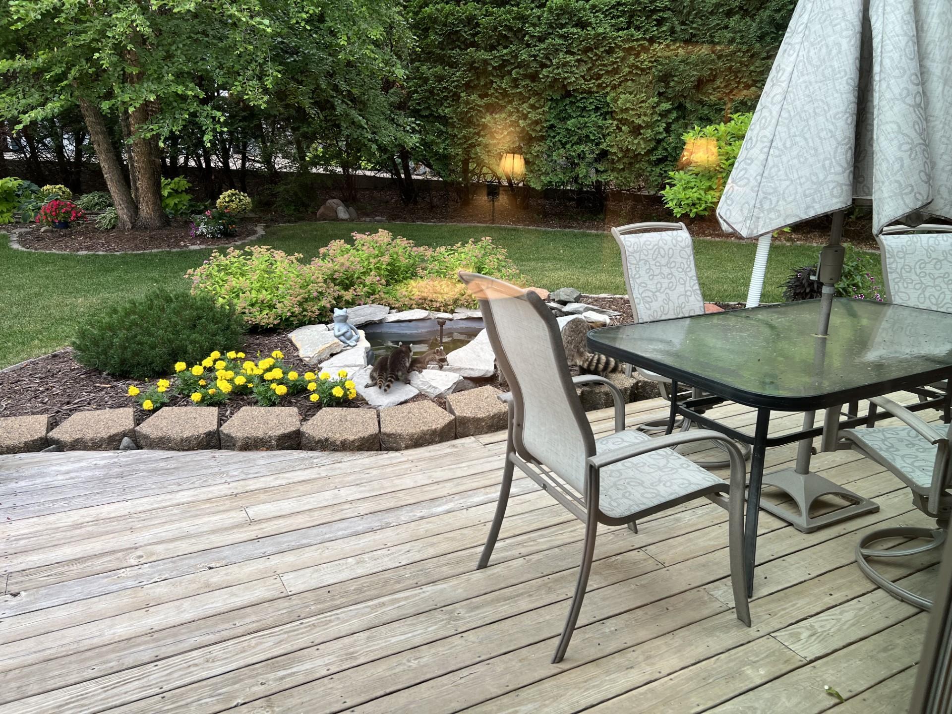 235 W Kraft Road