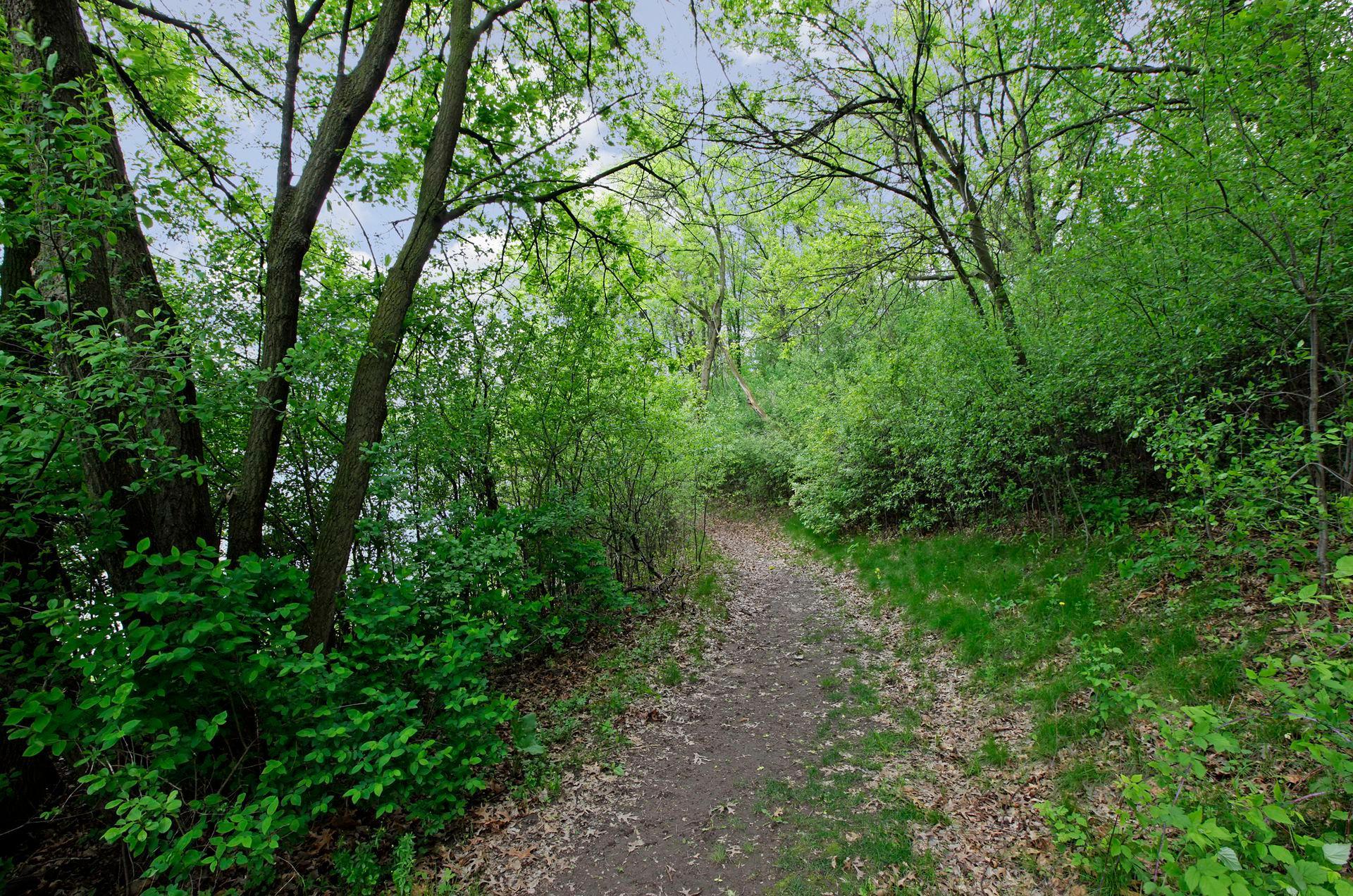 4834 Steeplechase Circle