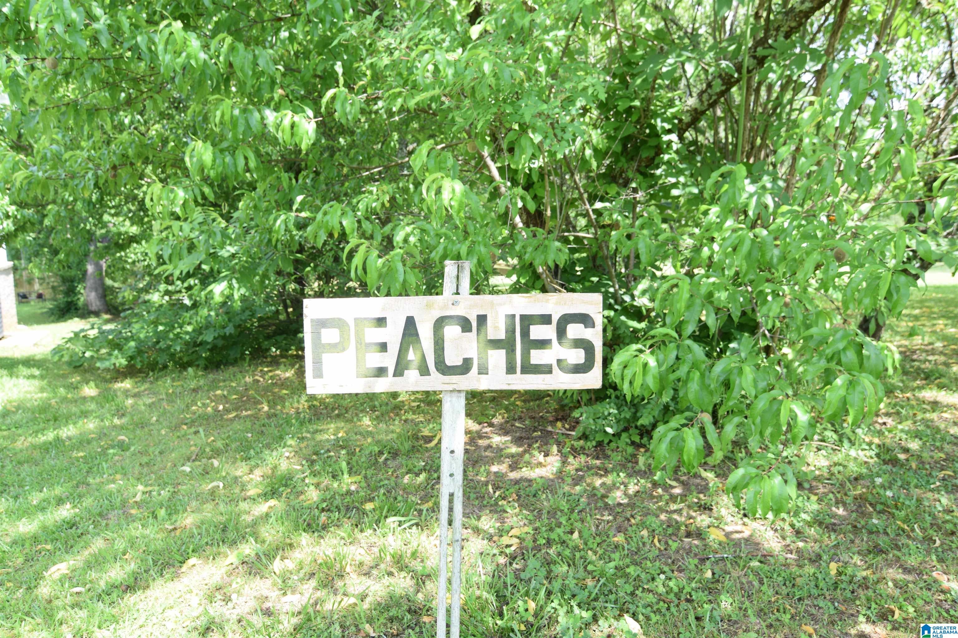 295 G B SANDERS DRIVE