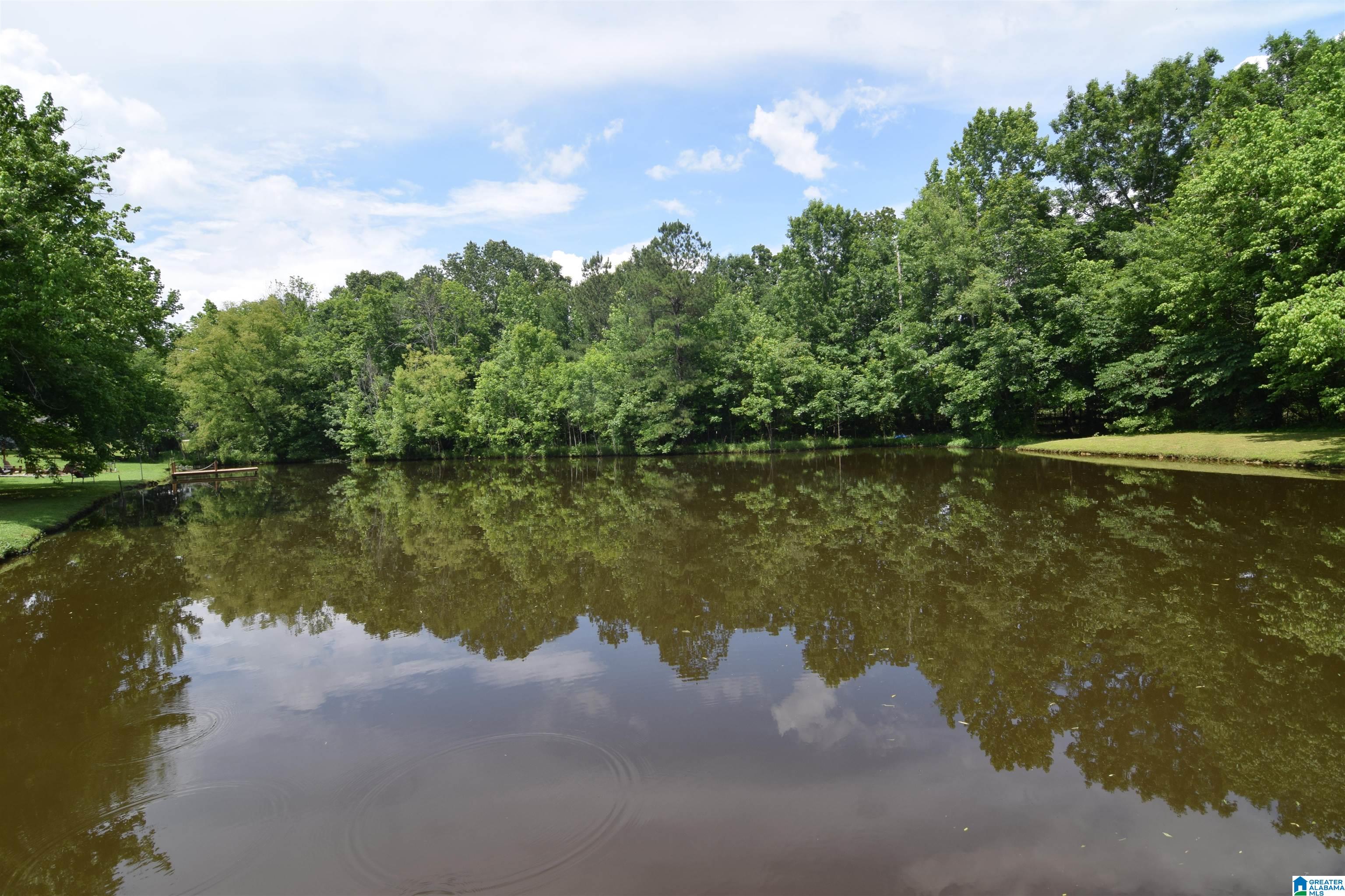 295 G B SANDERS DRIVE