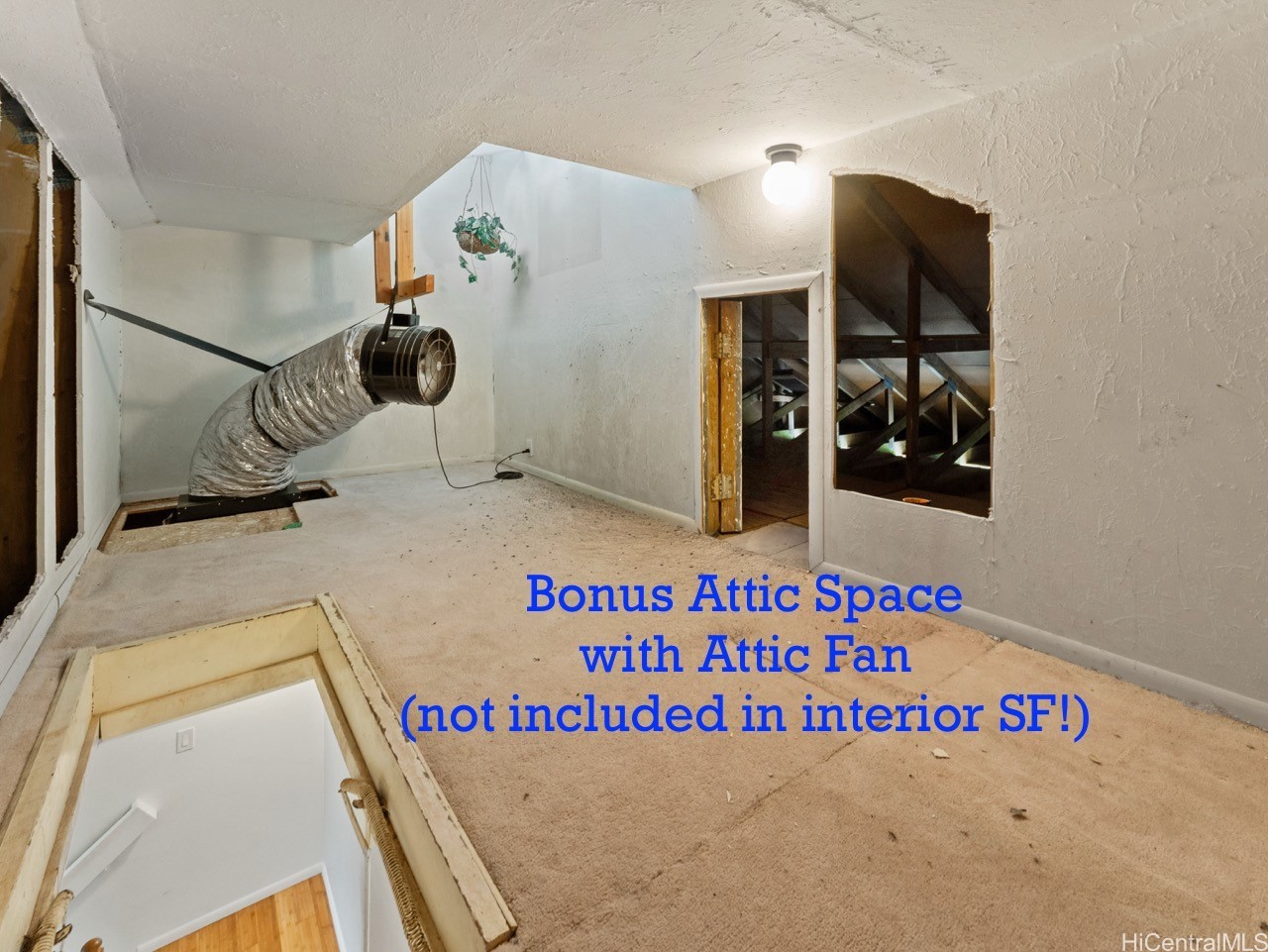 46-63 Emepela Place P205